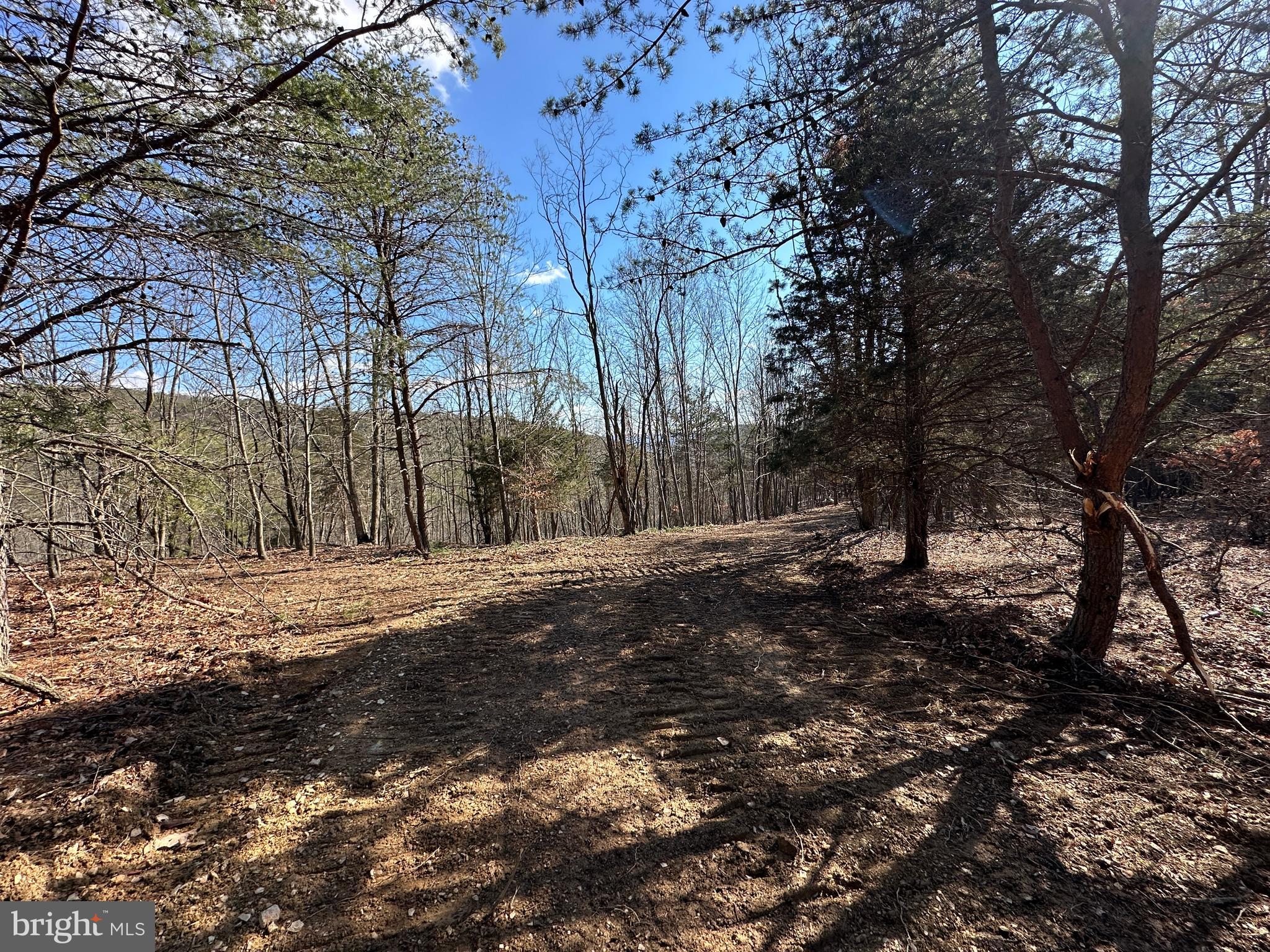 BLUFFS ON THE POTOMAC - Land