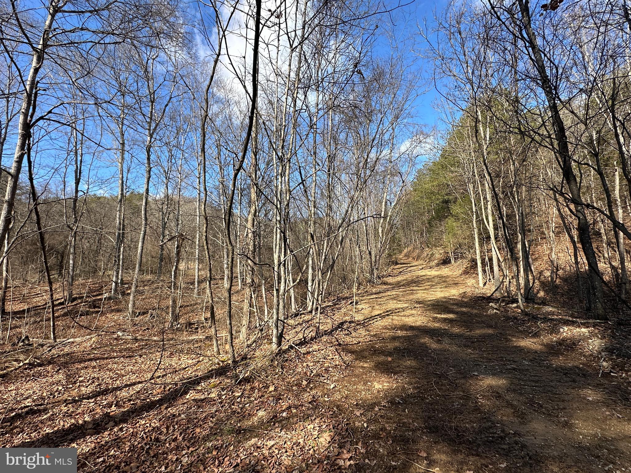 BLUFFS ON THE POTOMAC - Land