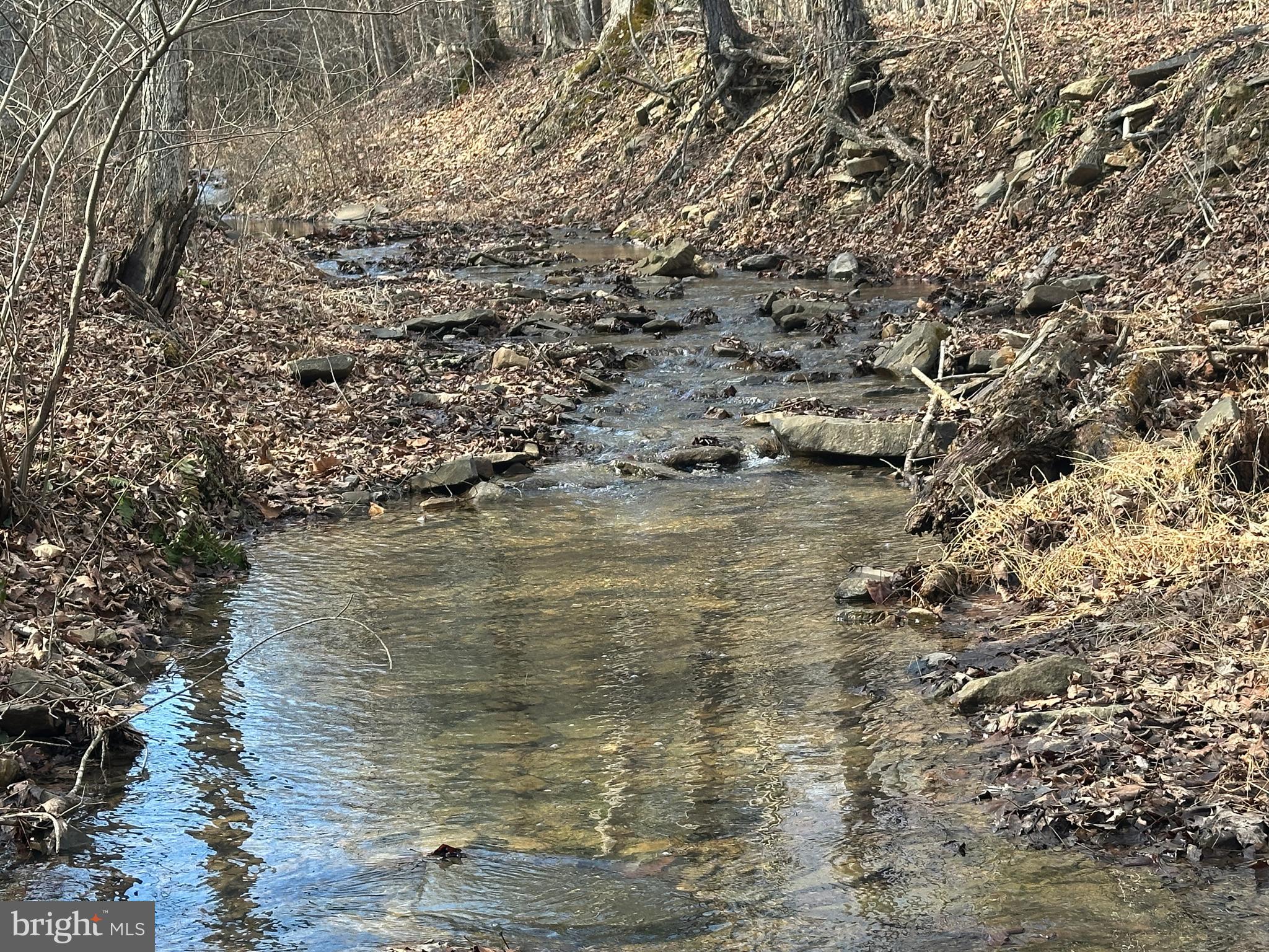 BLUFFS ON THE POTOMAC - Land
