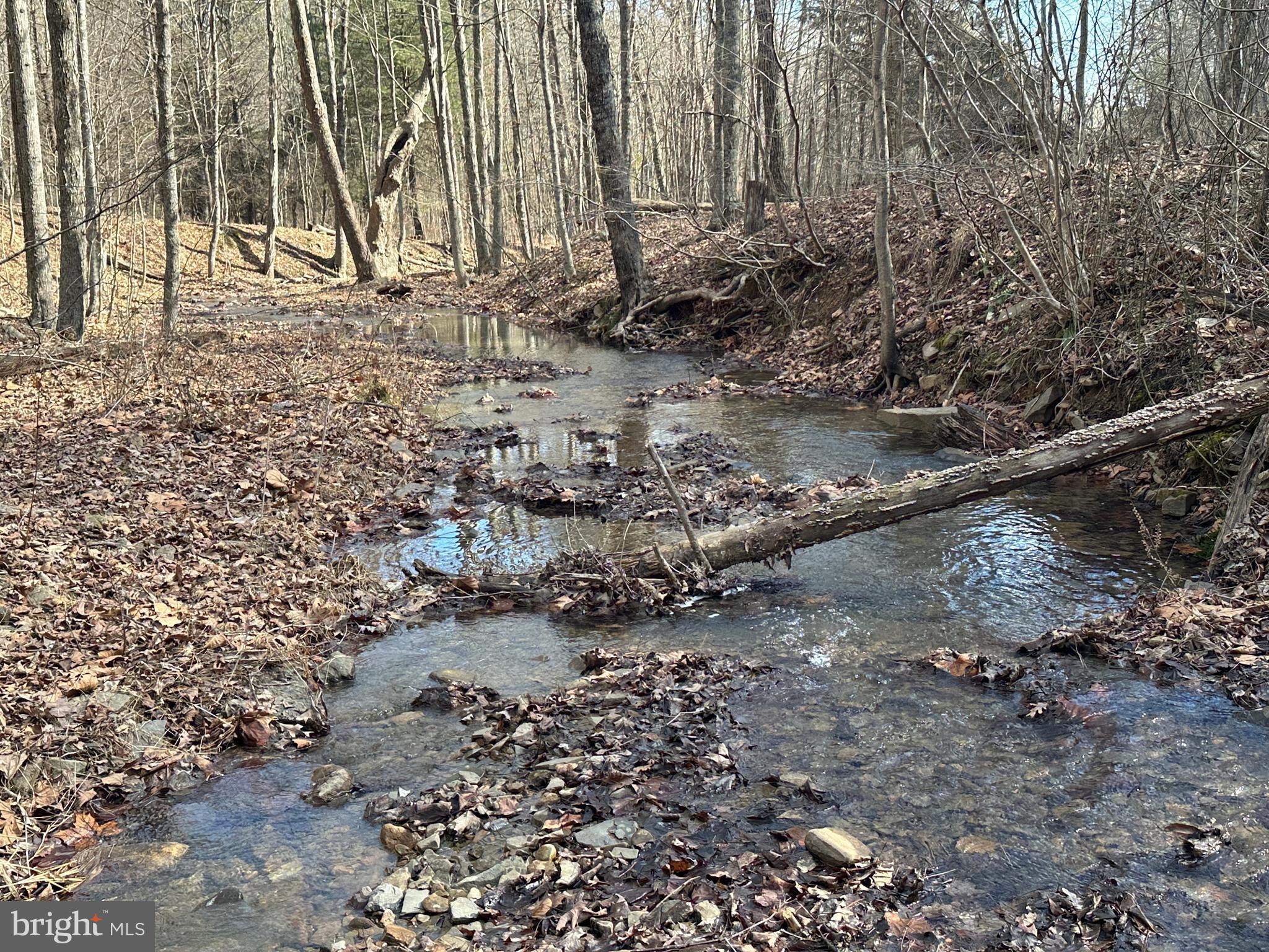 BLUFFS ON THE POTOMAC - Land