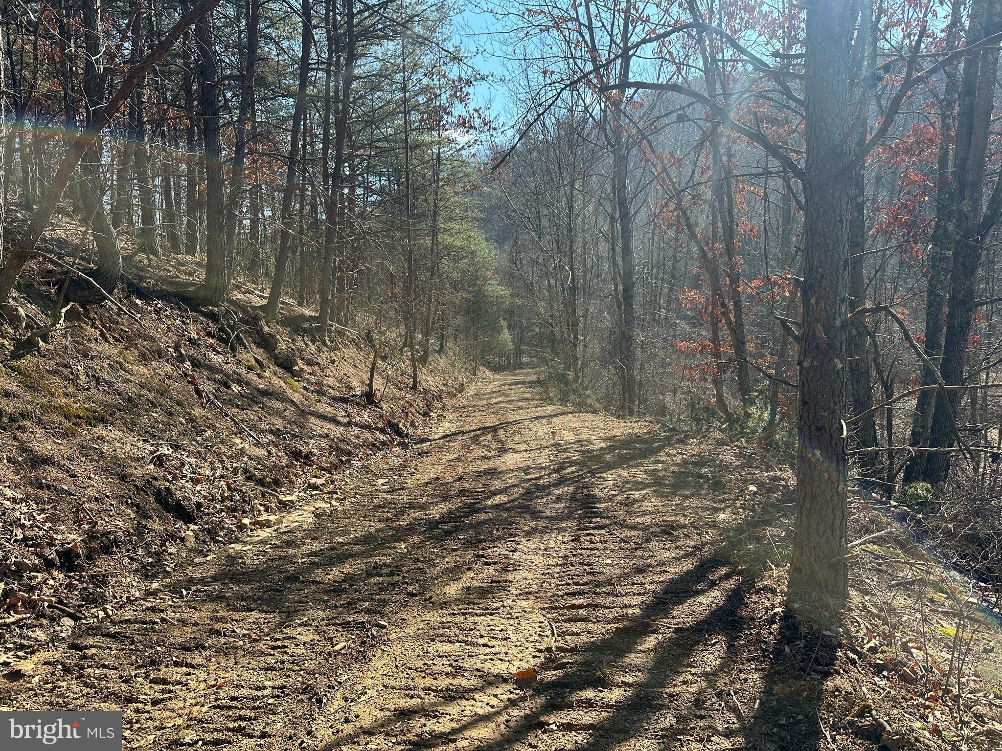 BLUFFS ON THE POTOMAC - Land