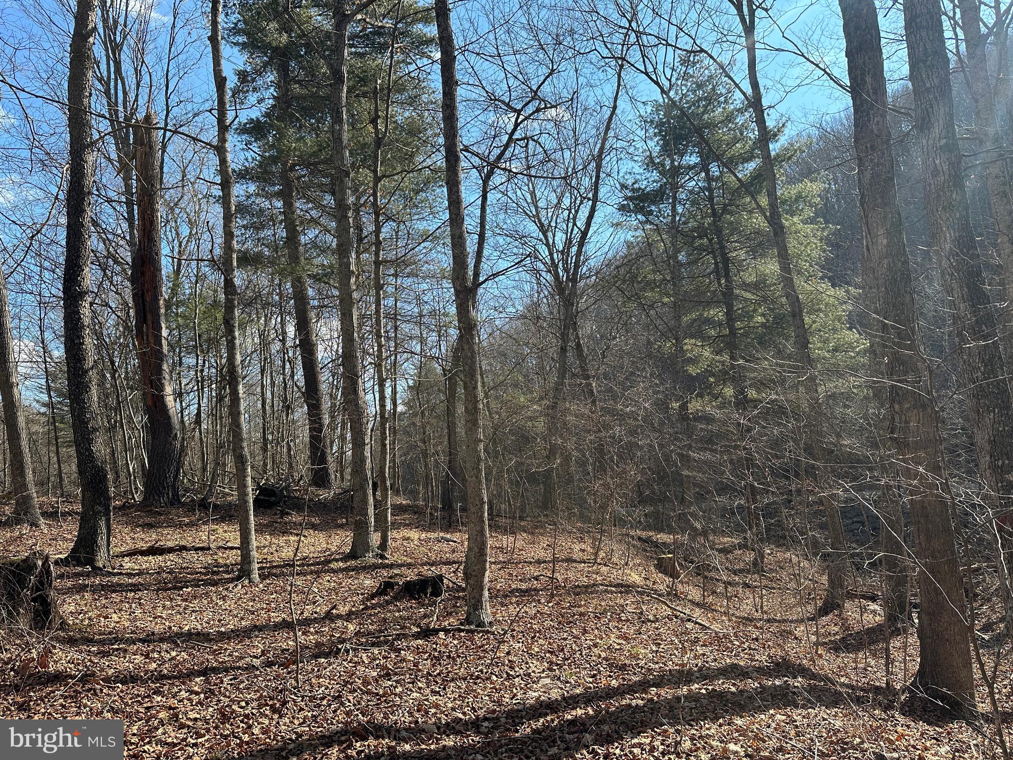 BLUFFS ON THE POTOMAC - Land
