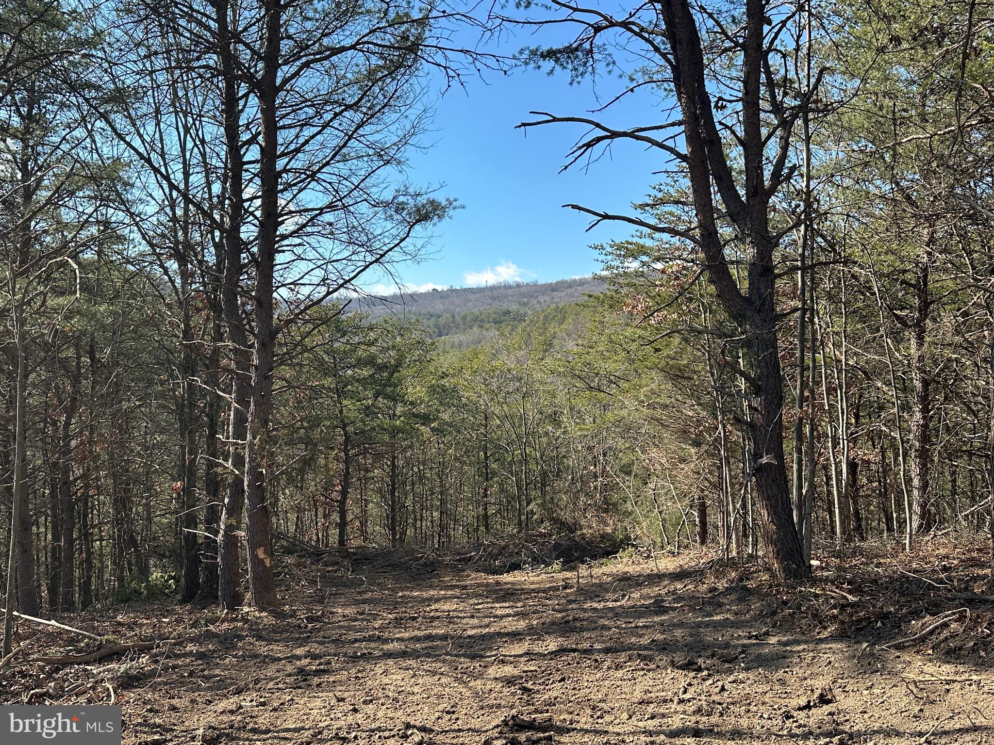 BLUFFS ON THE POTOMAC - Land