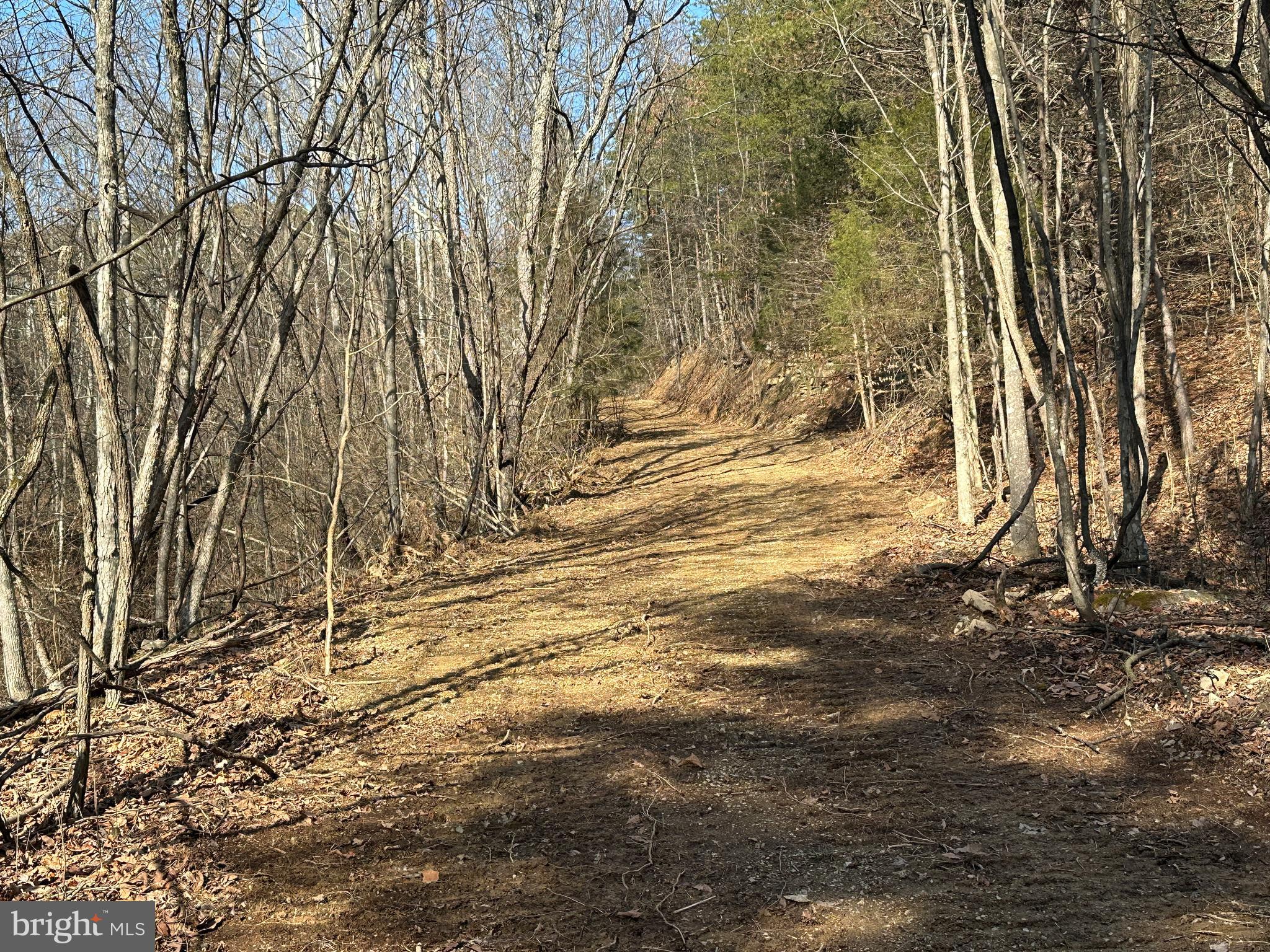 BLUFFS ON THE POTOMAC - Land