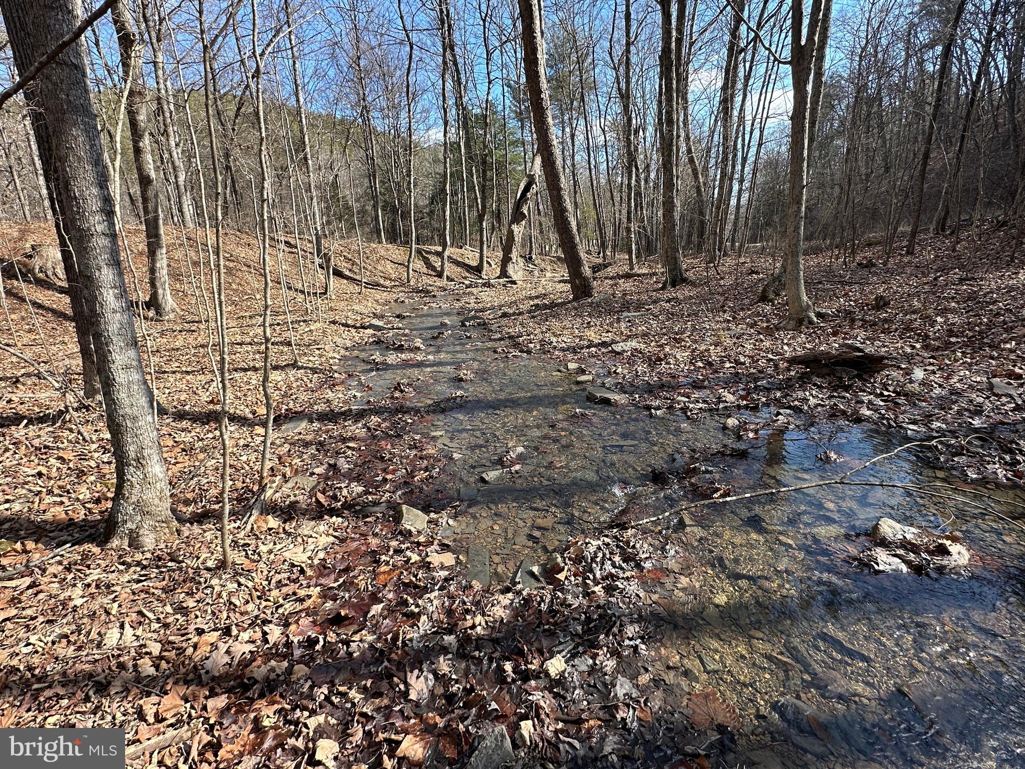 BLUFFS ON THE POTOMAC - Land