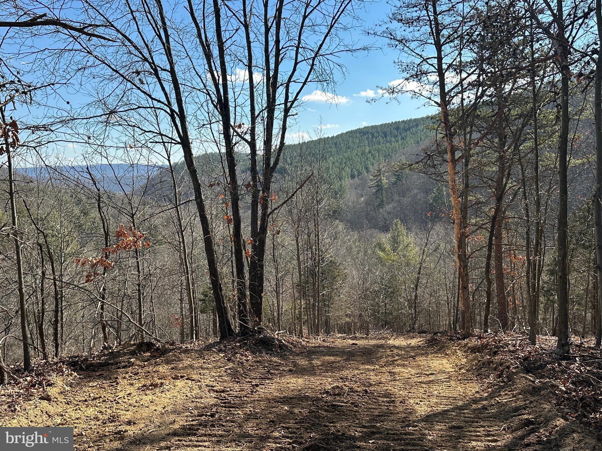 BLUFFS ON THE POTOMAC - Land