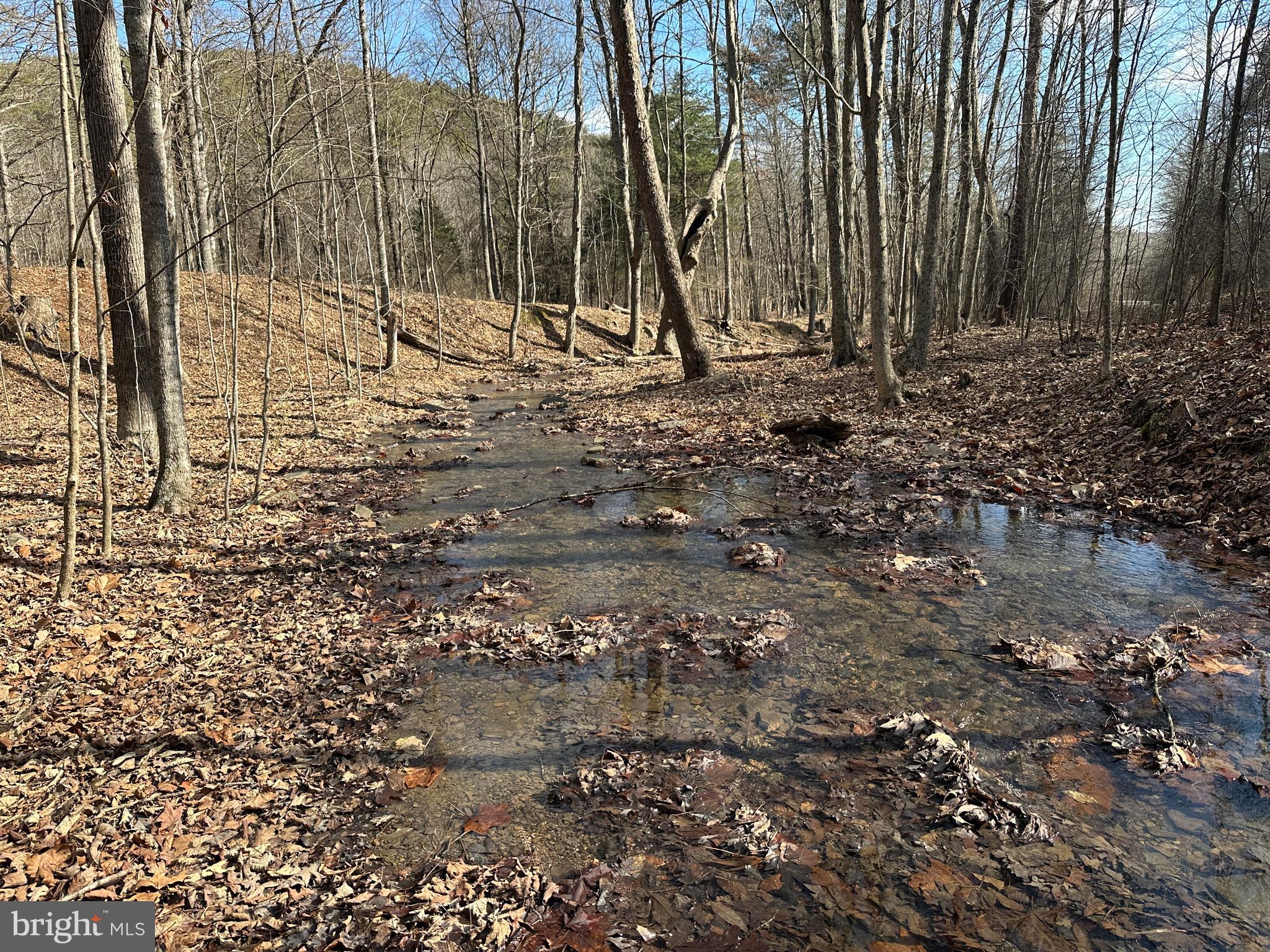 BLUFFS ON THE POTOMAC - Land