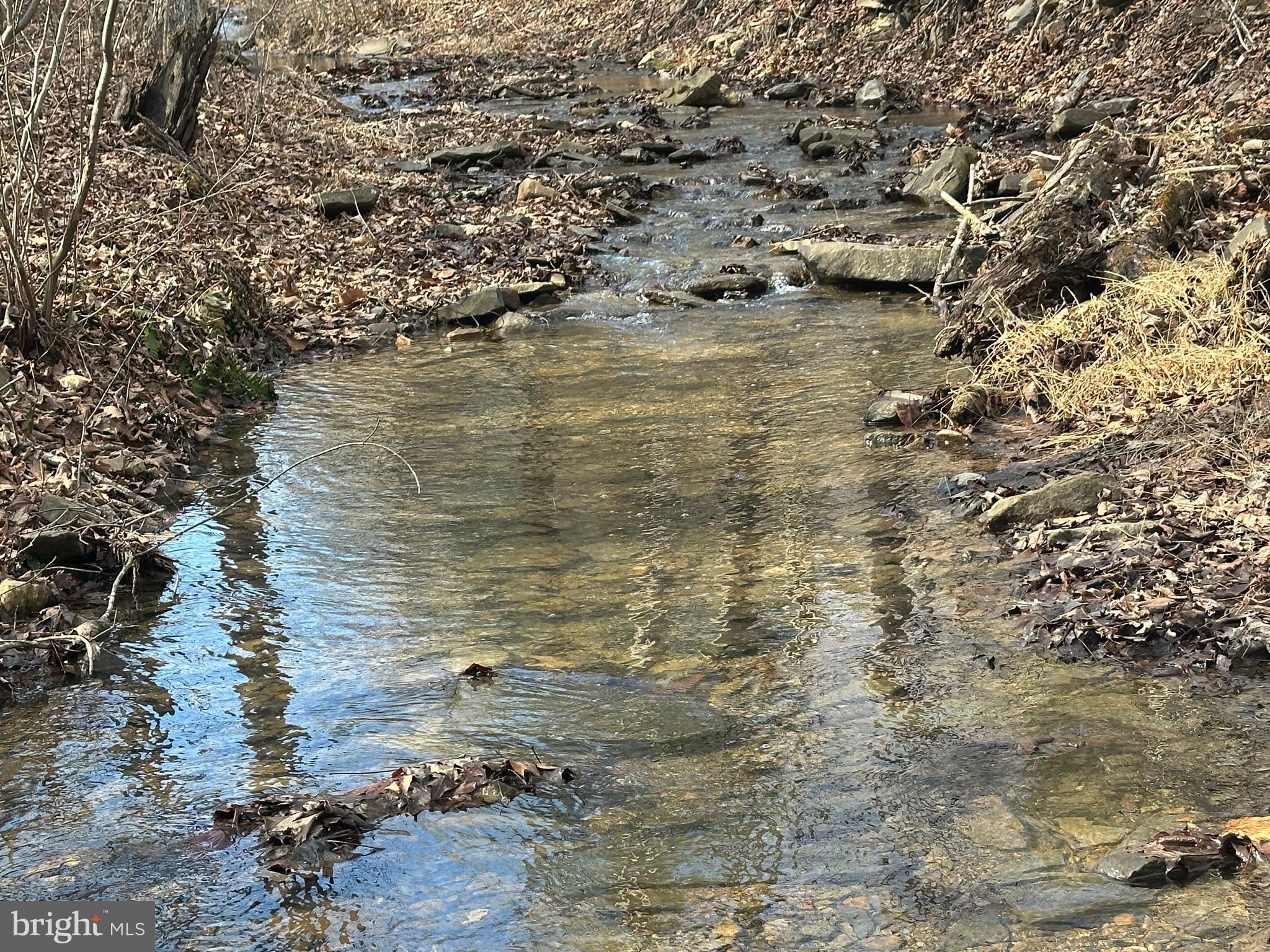 BLUFFS ON THE POTOMAC - Land