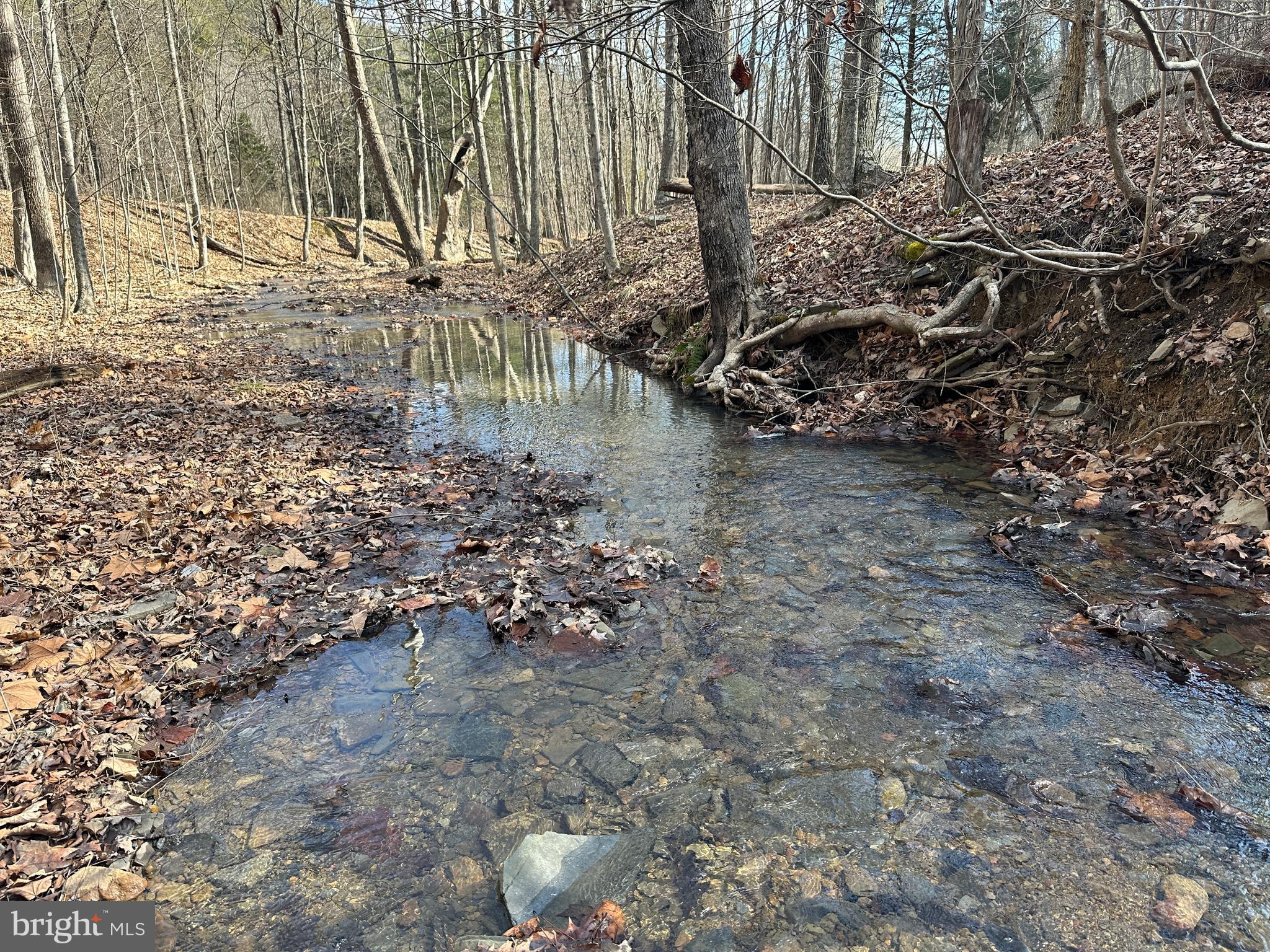BLUFFS ON THE POTOMAC - Land