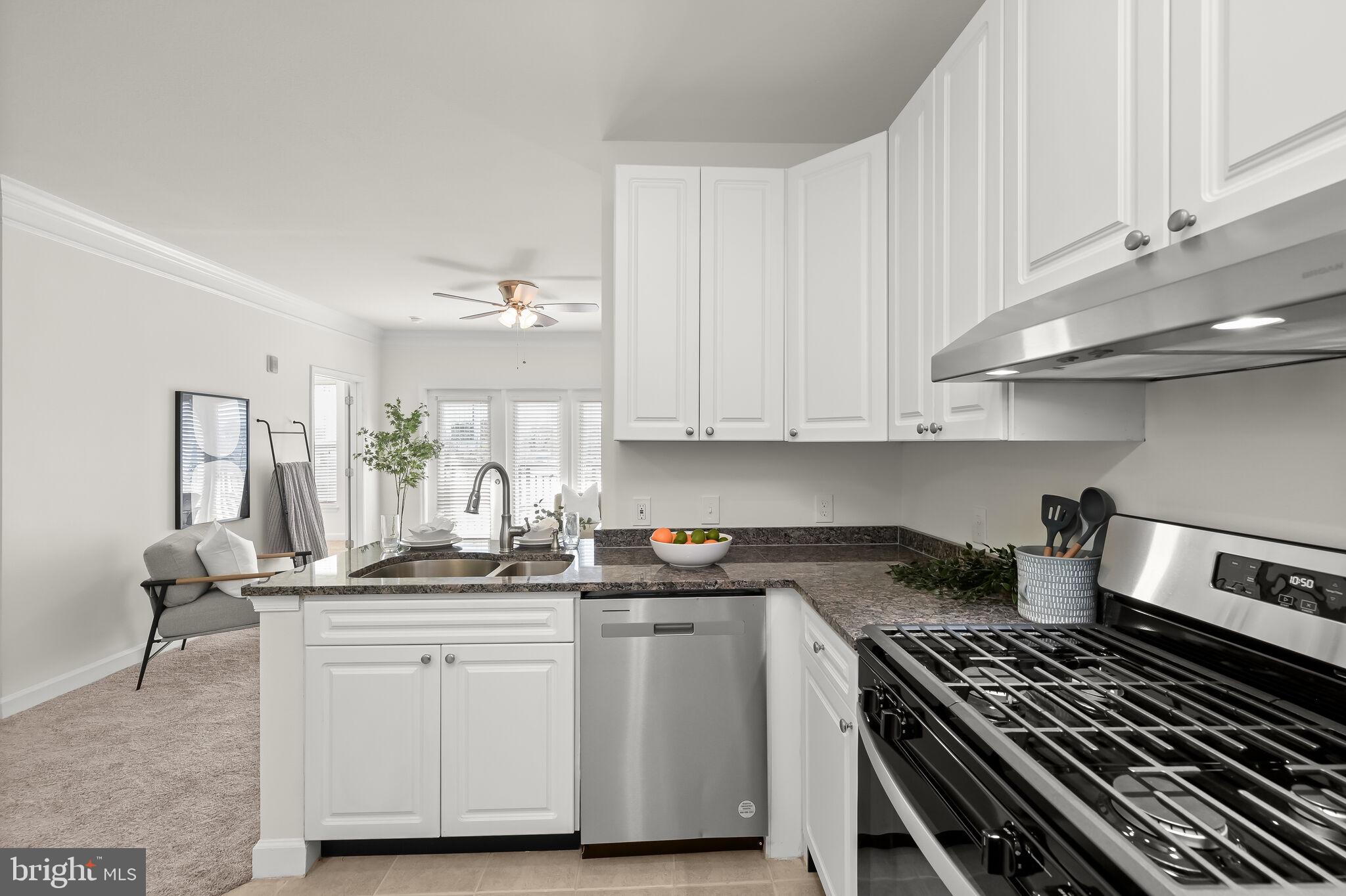 FITZ AT ROCKVILLE TOWN C - Residential