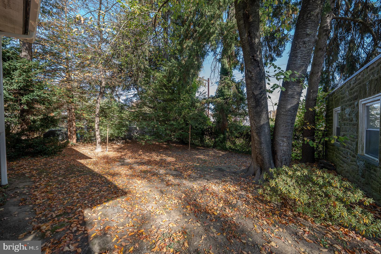 ELKINS PARK - Residential