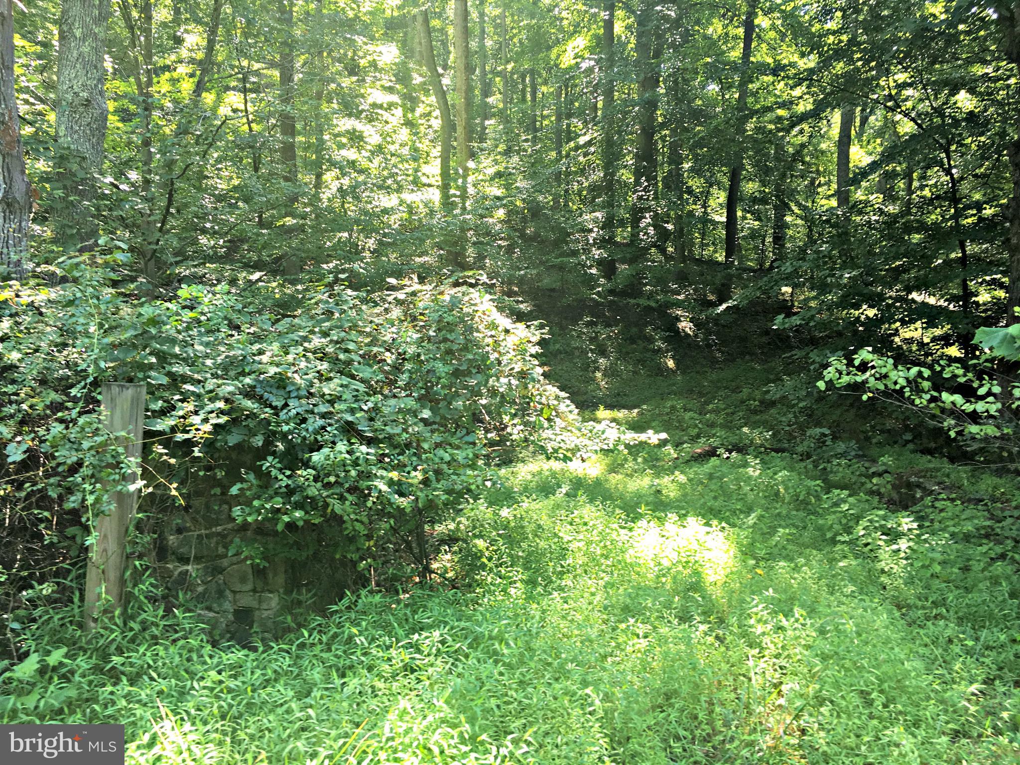 LOCUST GROVE DRIVE