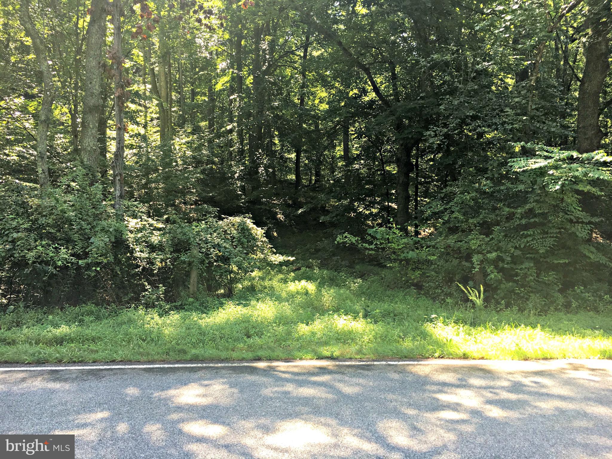 LOCUST GROVE DRIVE