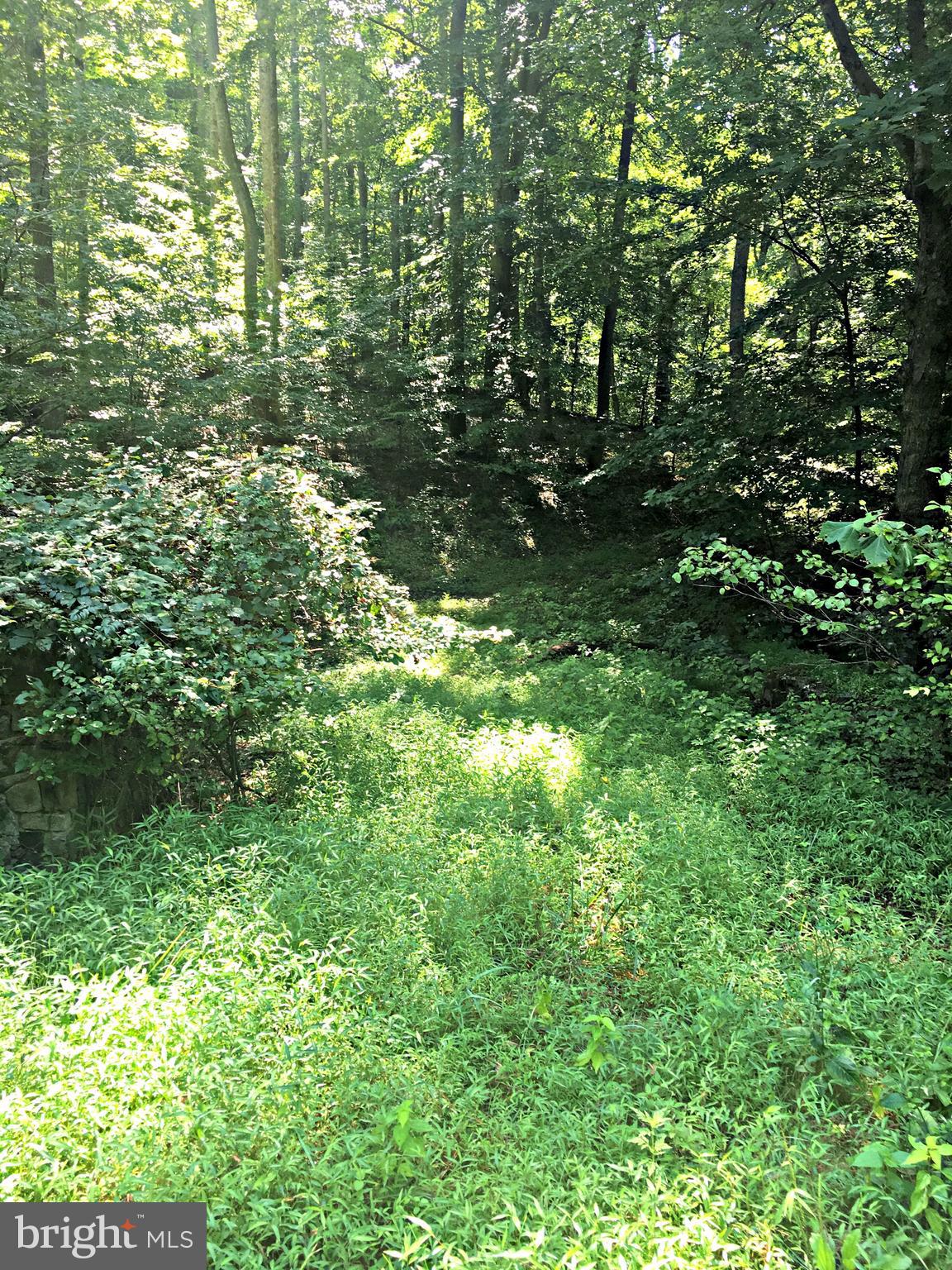 LOCUST GROVE DRIVE