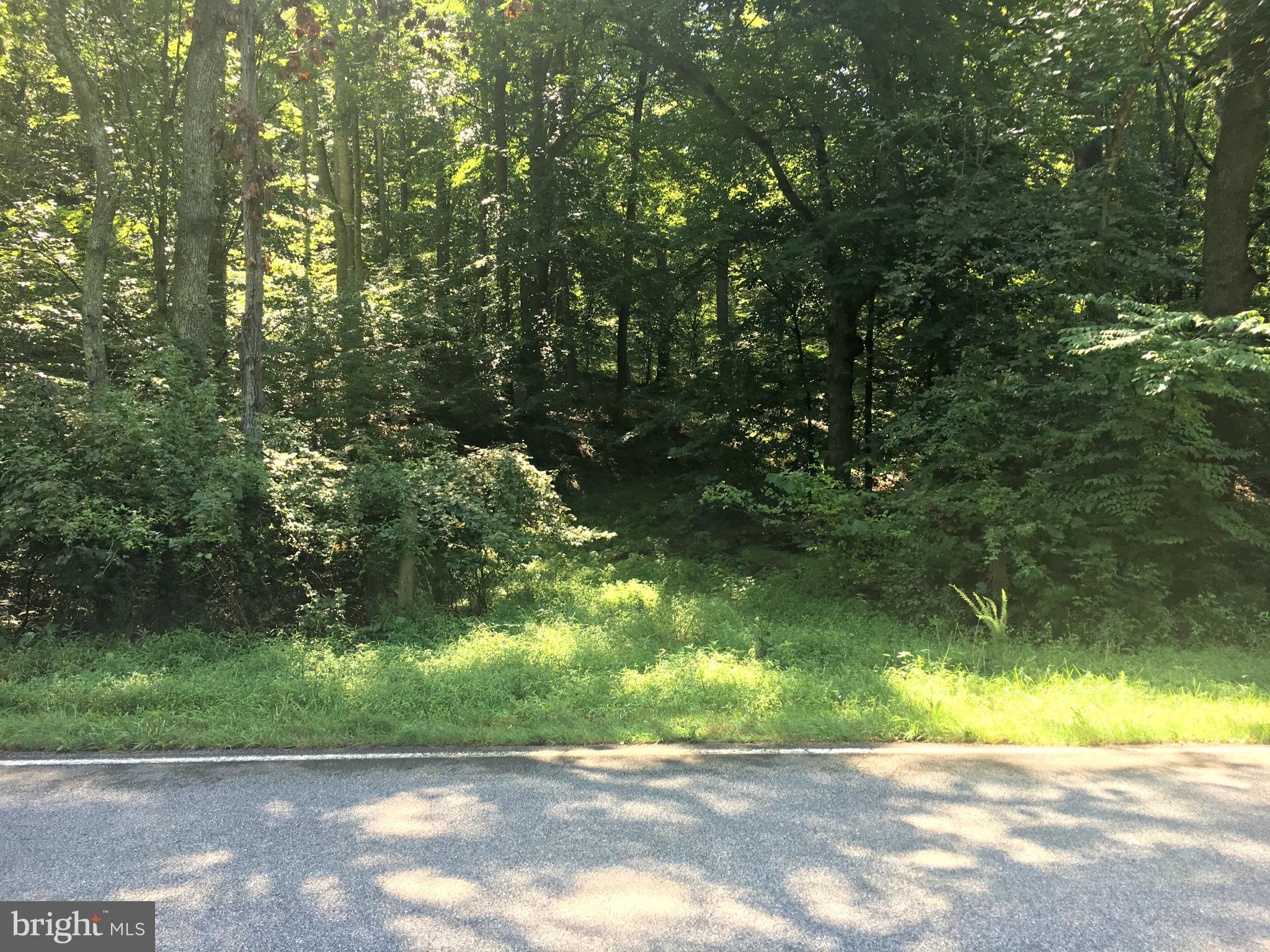 LOCUST GROVE DRIVE