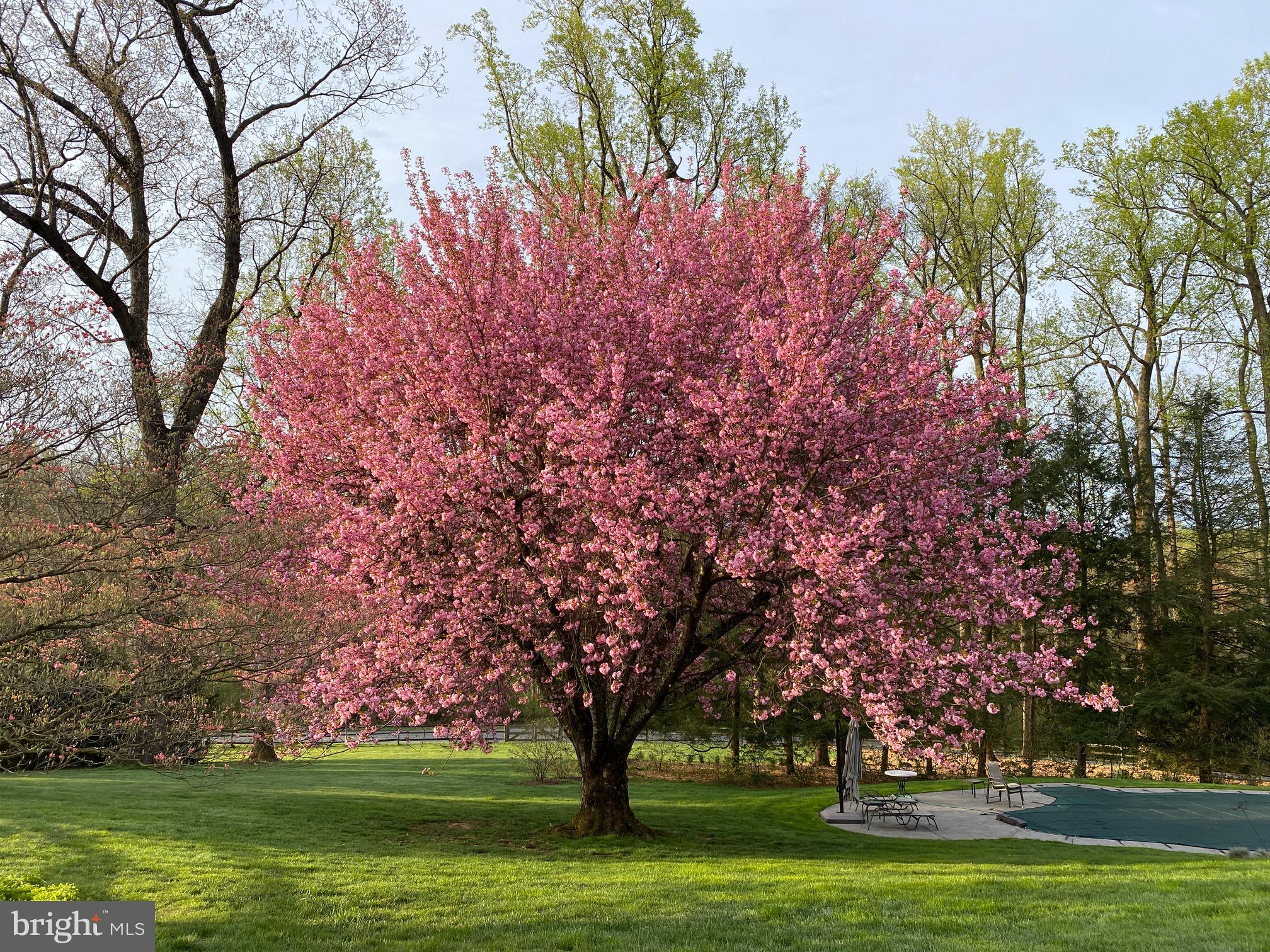 RADNOR HUNT - Residential