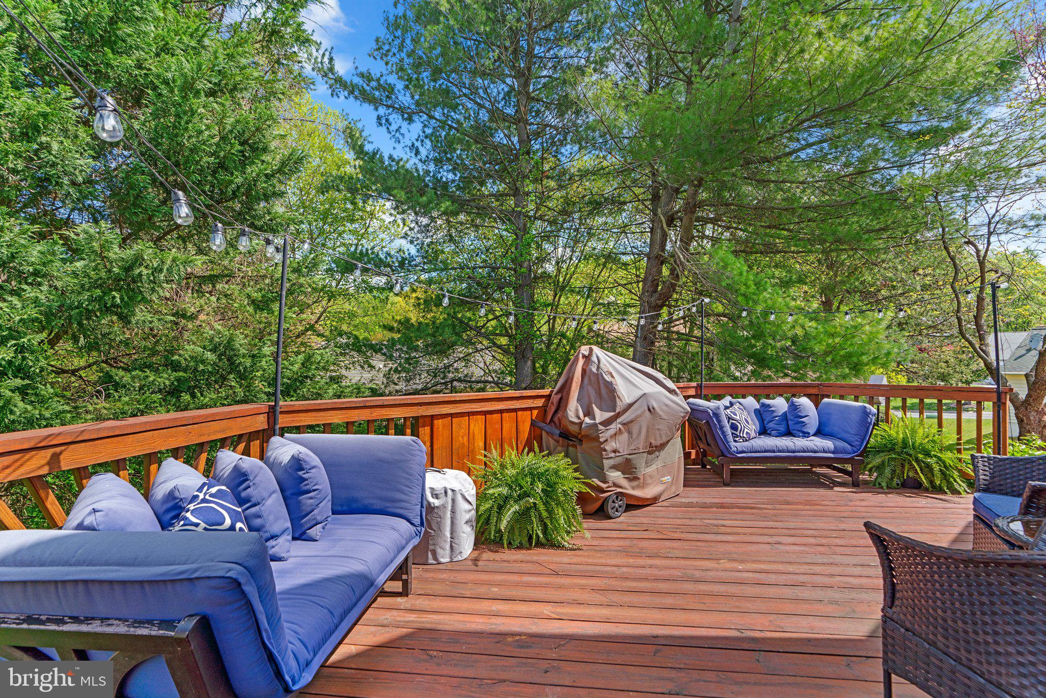 SNOWDENS MILL - Residential