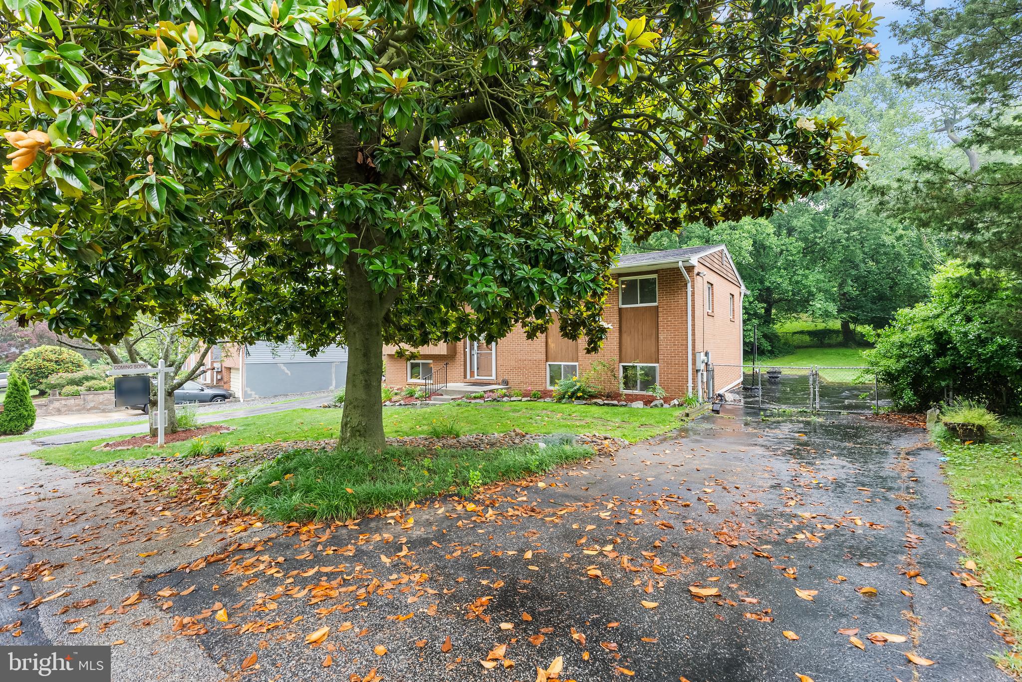 1157 PINE TREE DRIVE