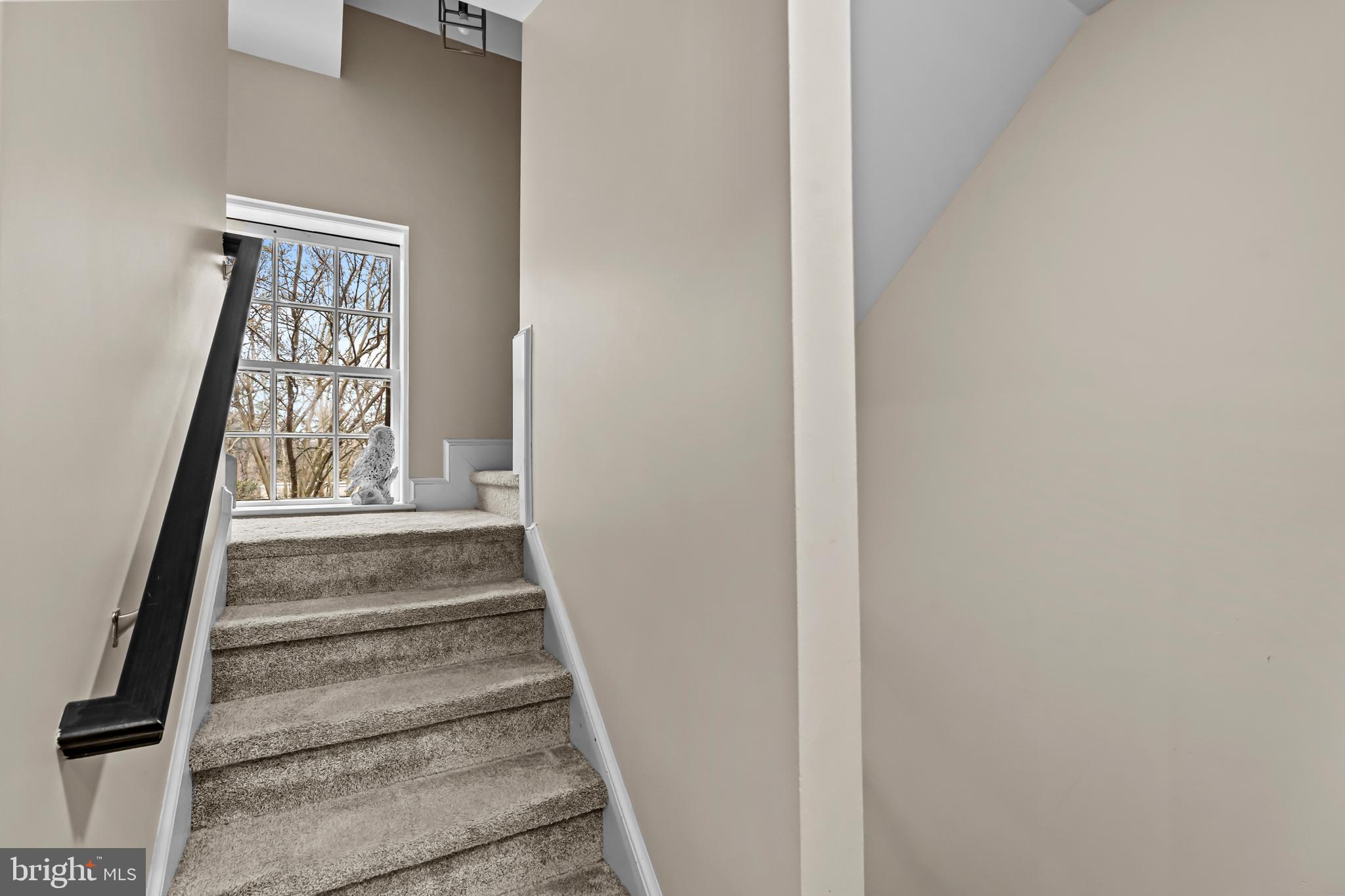 MARY WASHINGTON SQUARE - Residential