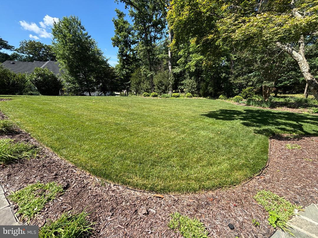 1123 LAURELWOOD DRIVE