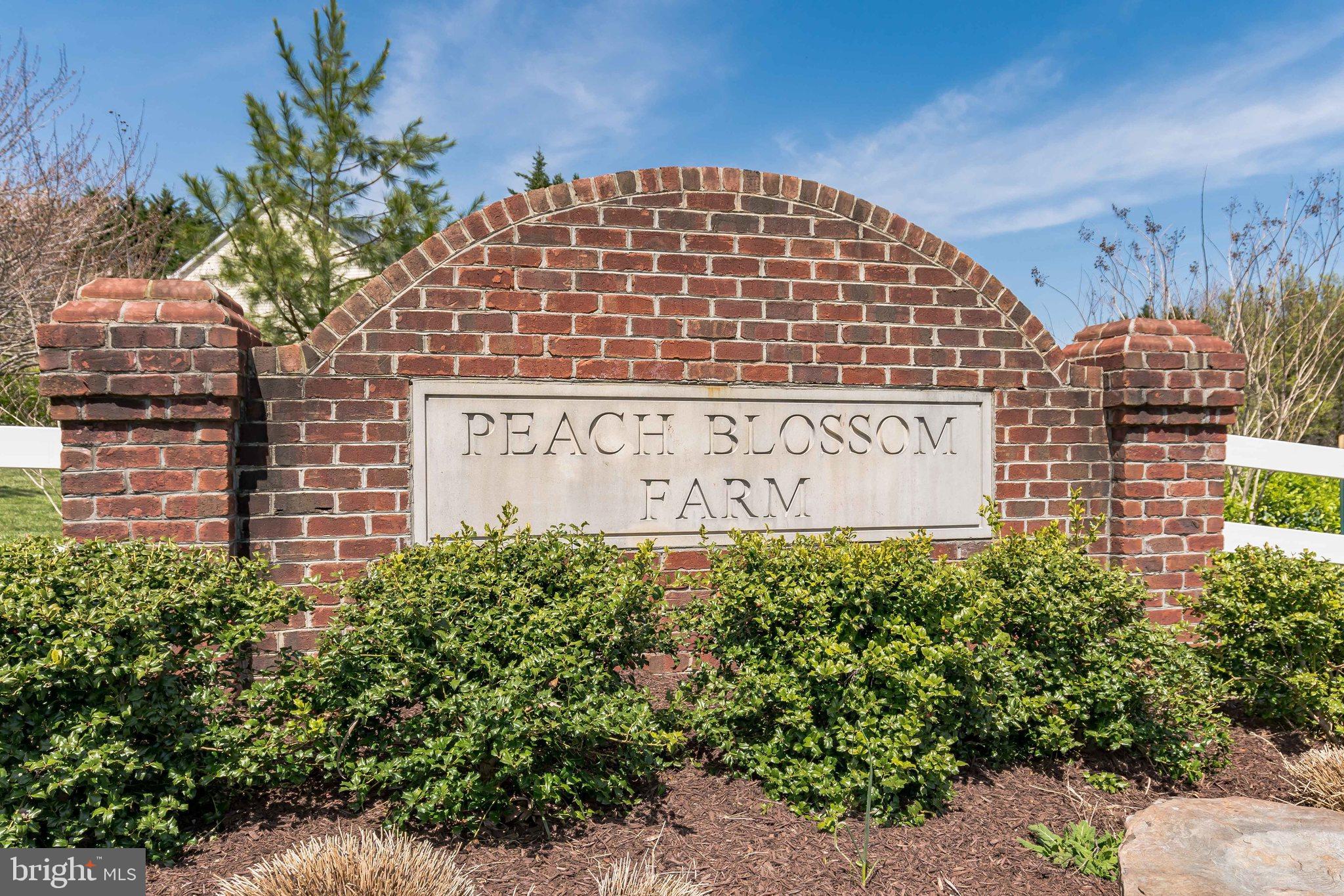 PEACH BLOSSOM FARM - Residential