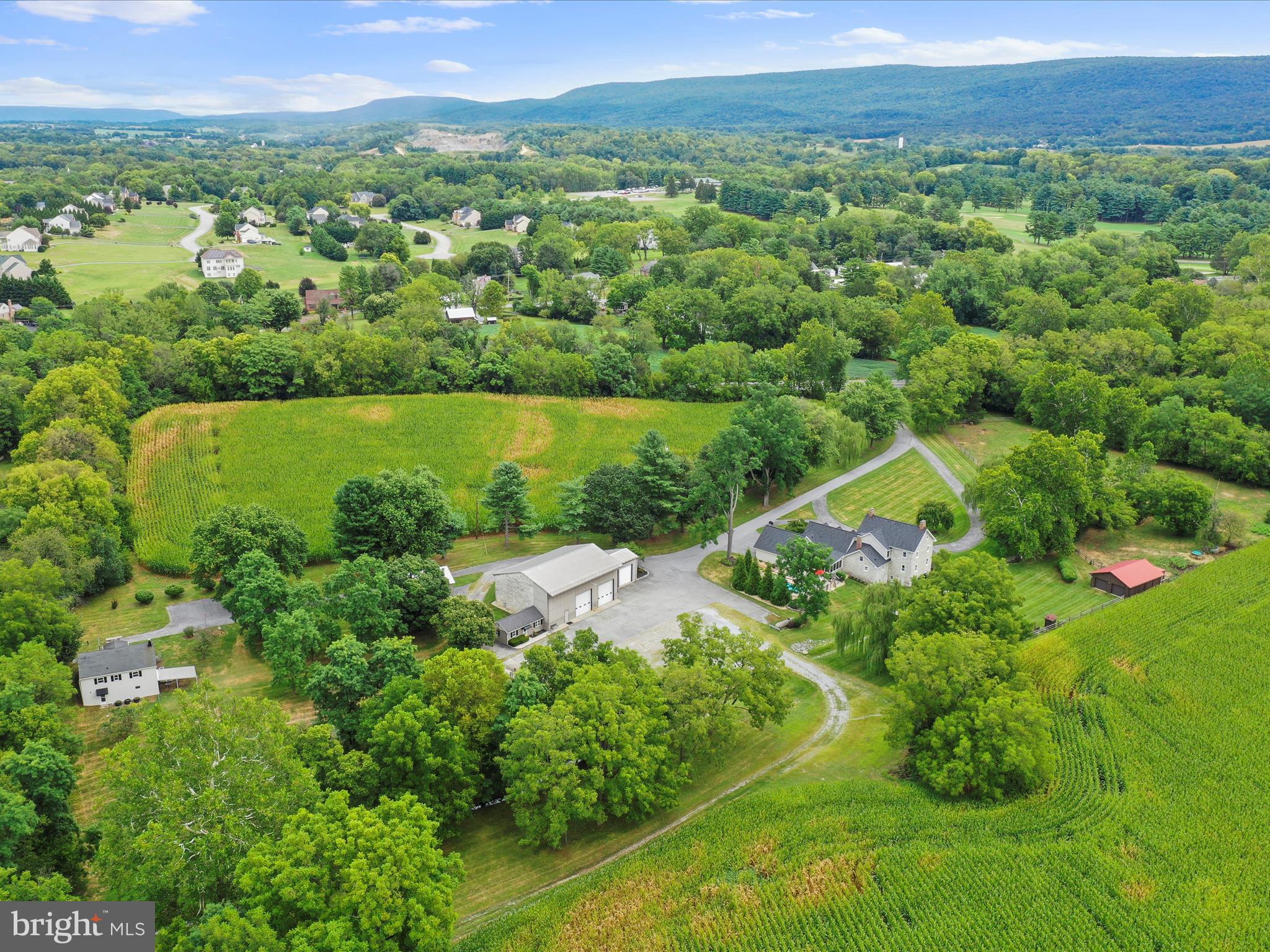 NONE AVAILABLE - Commercial Sale