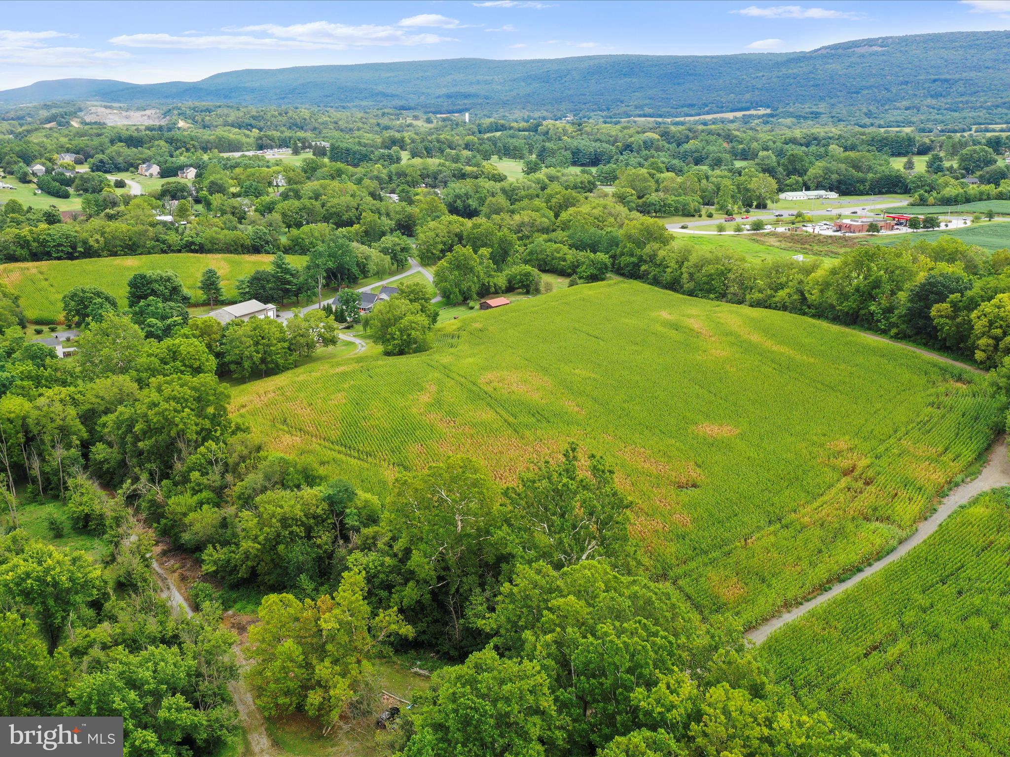 NONE AVAILABLE - Commercial Sale