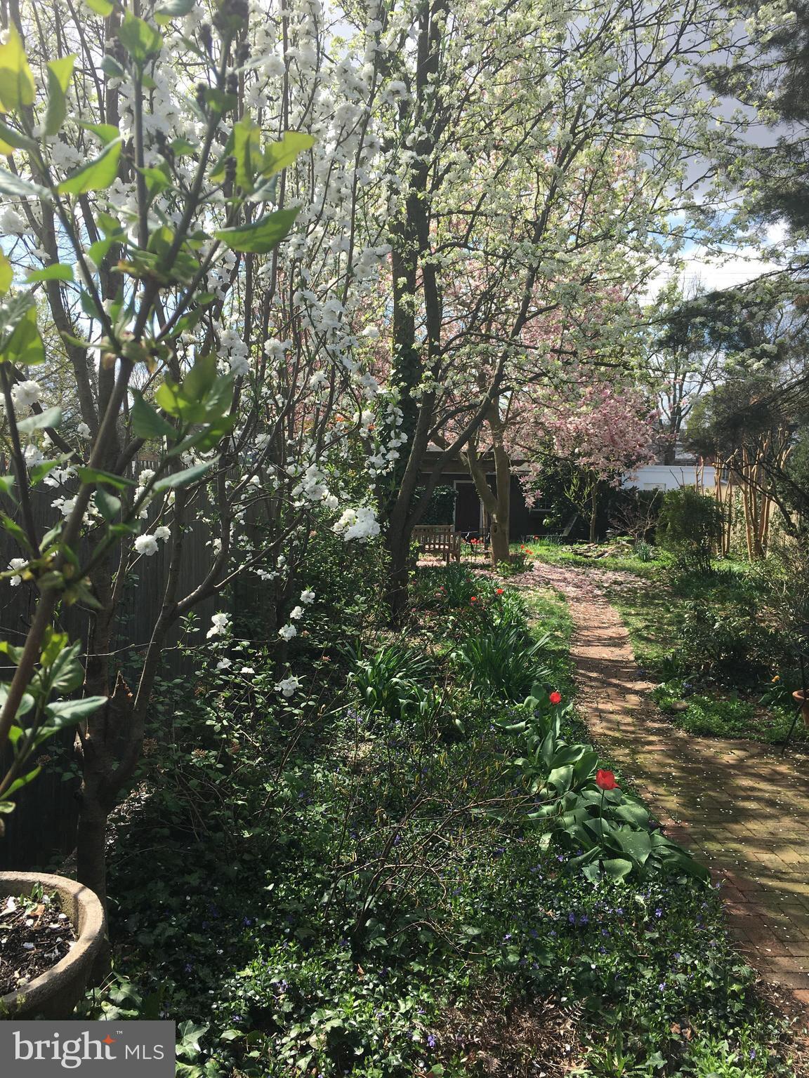 CARLISLE HISTORIC DISTRICT - Residential