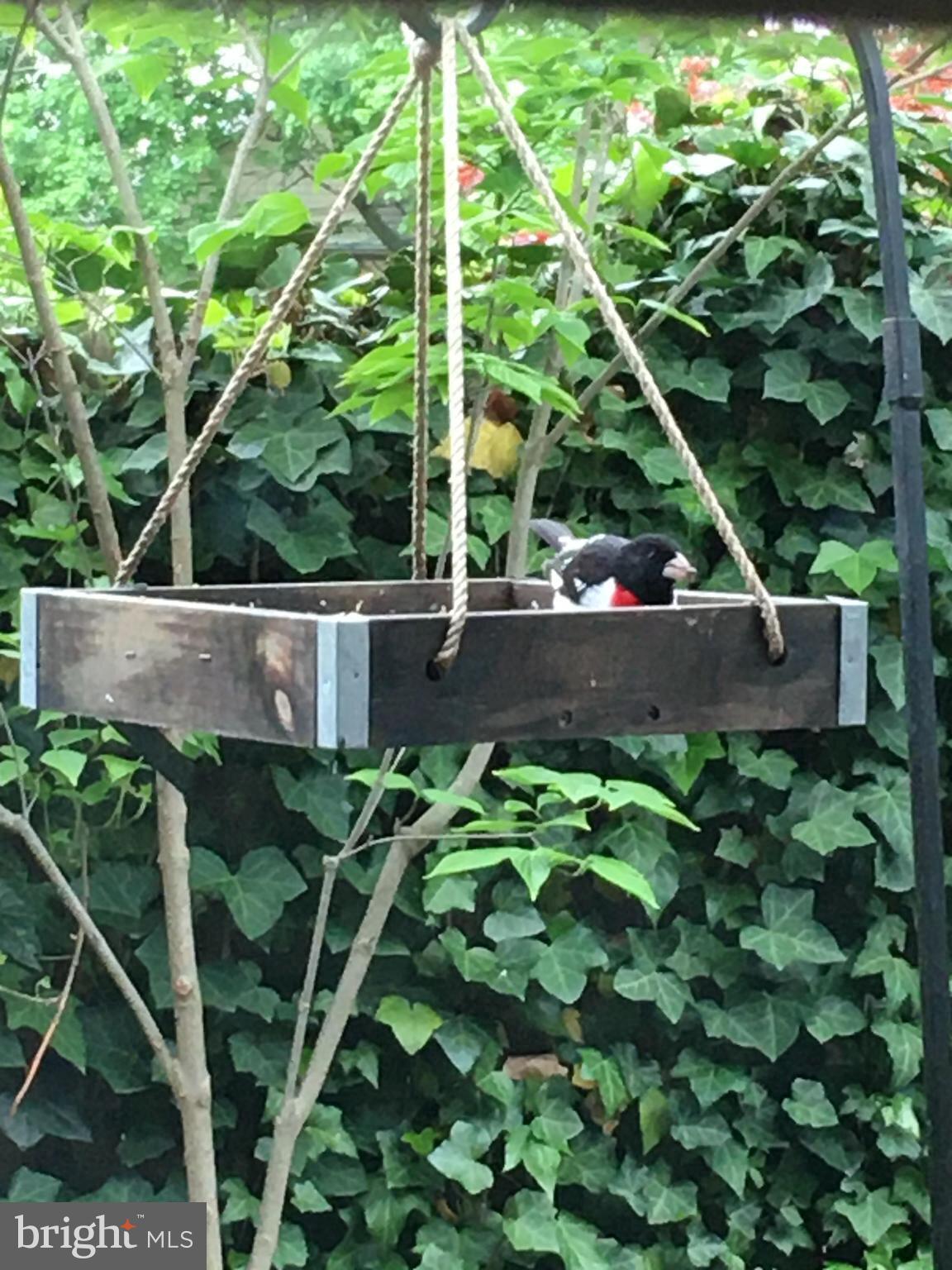 CARLISLE HISTORIC DISTRICT - Residential