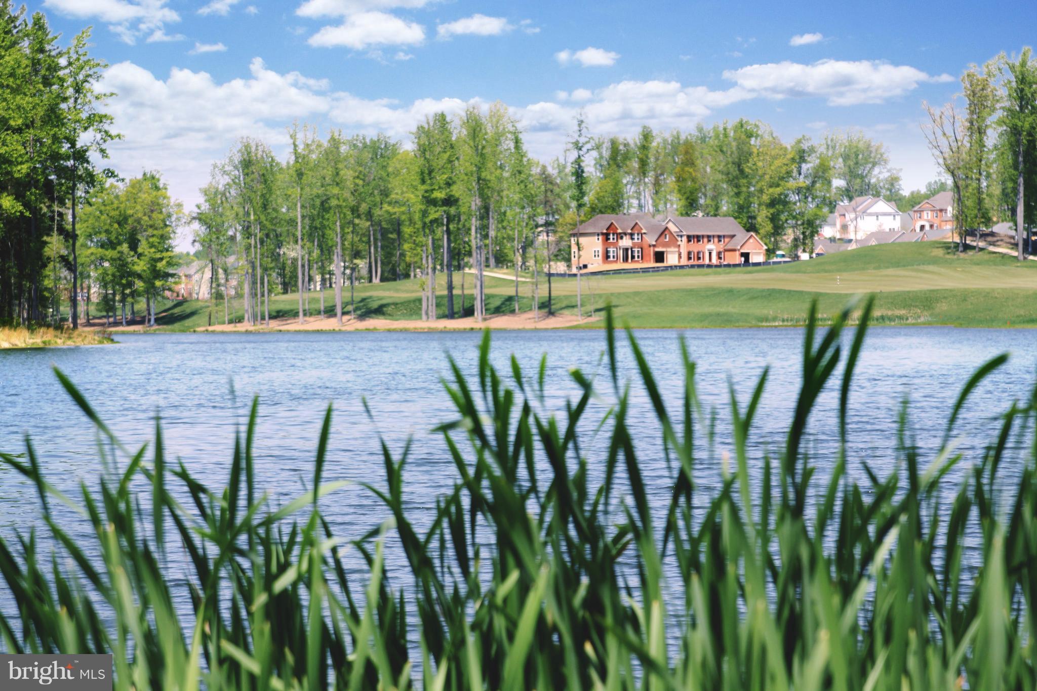 BEECHTREE - Residential