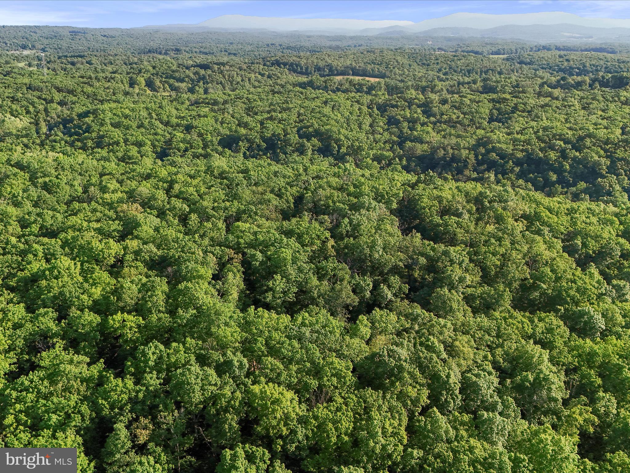 HEDGESVILLE - Residential