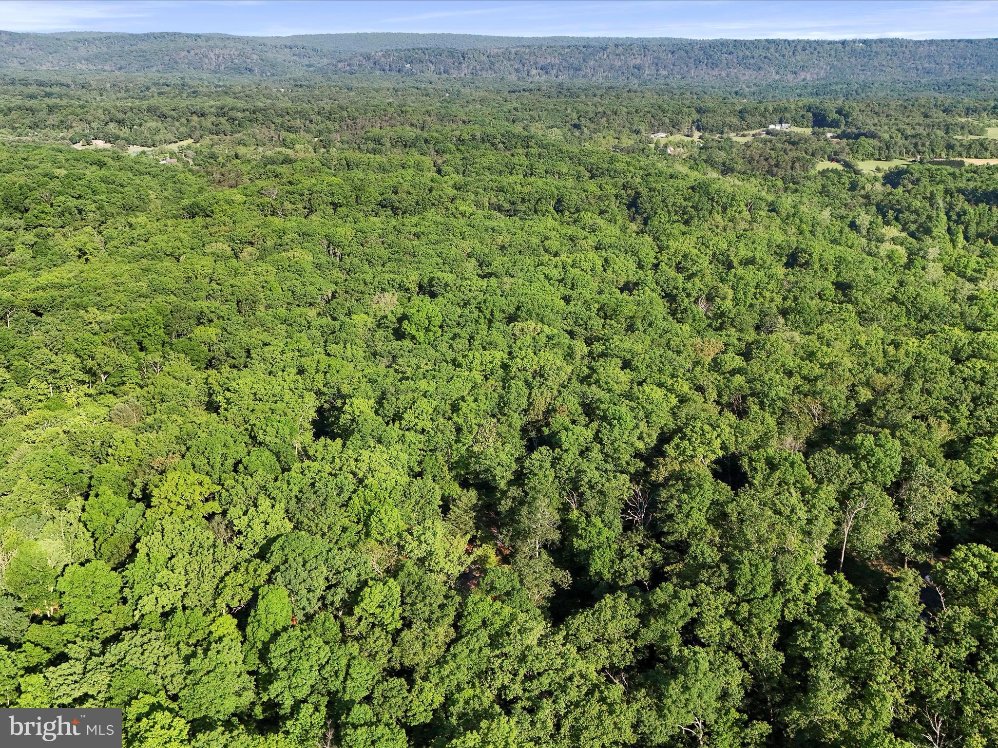 HEDGESVILLE - Residential