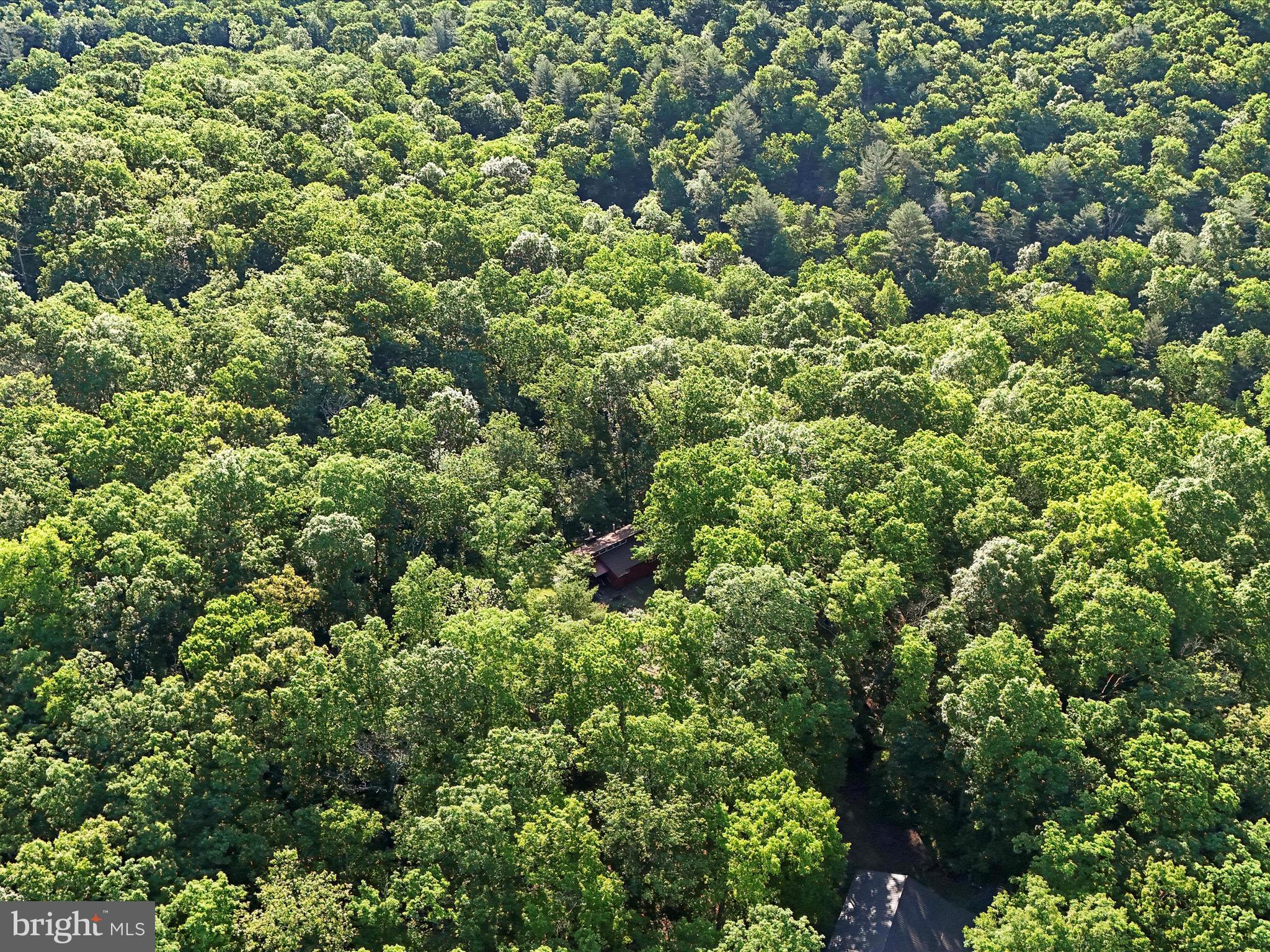 HEDGESVILLE - Residential
