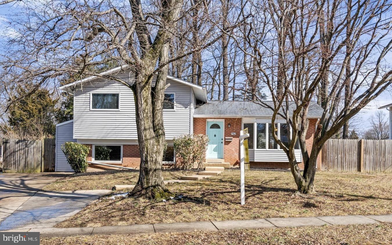 ANNANDALE TERRACE - Residential Lease