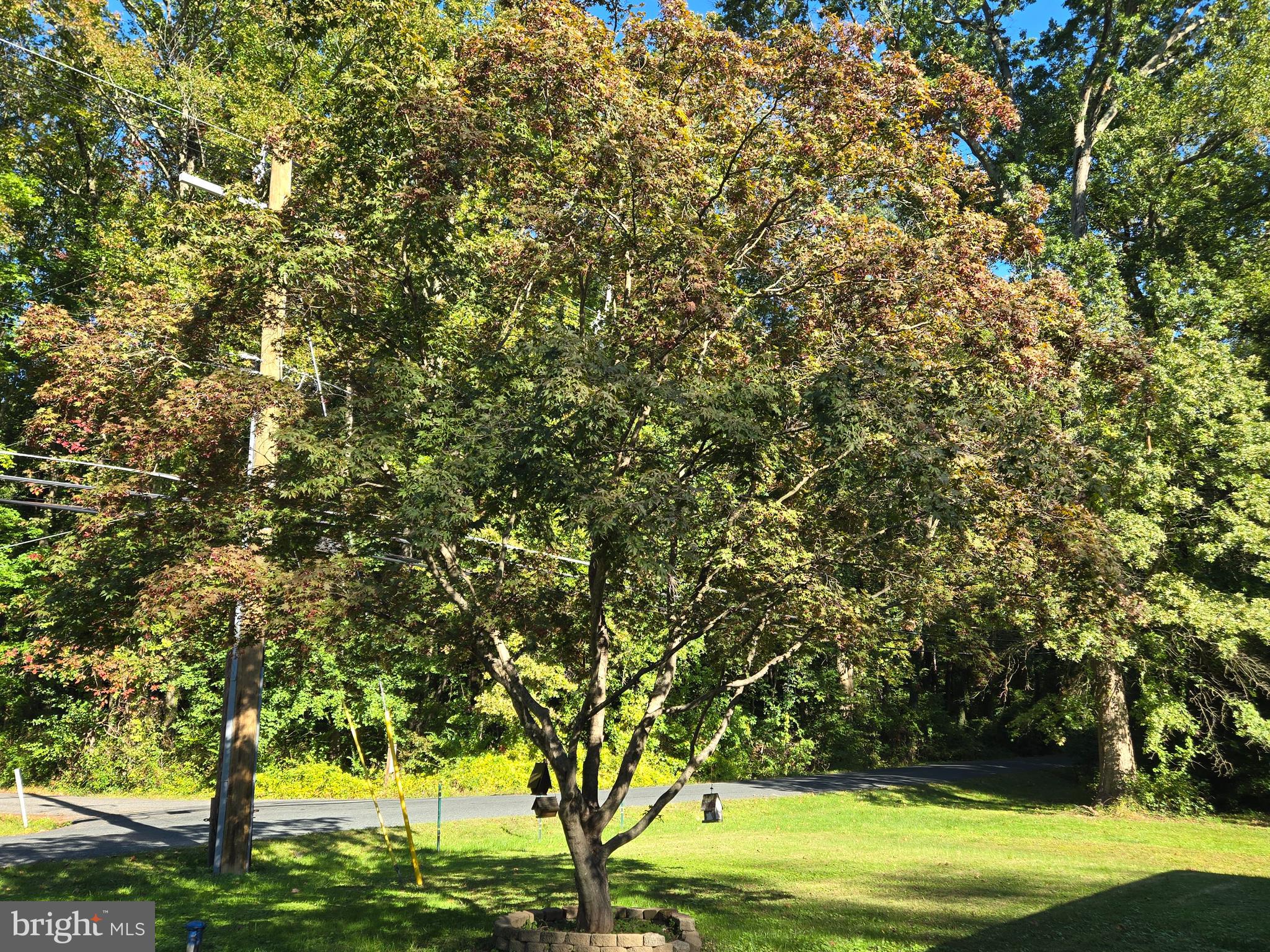 FOREST GREENS - Residential