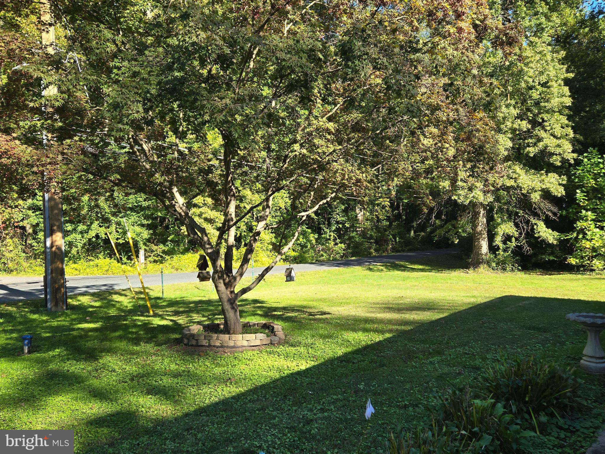 FOREST GREENS - Residential