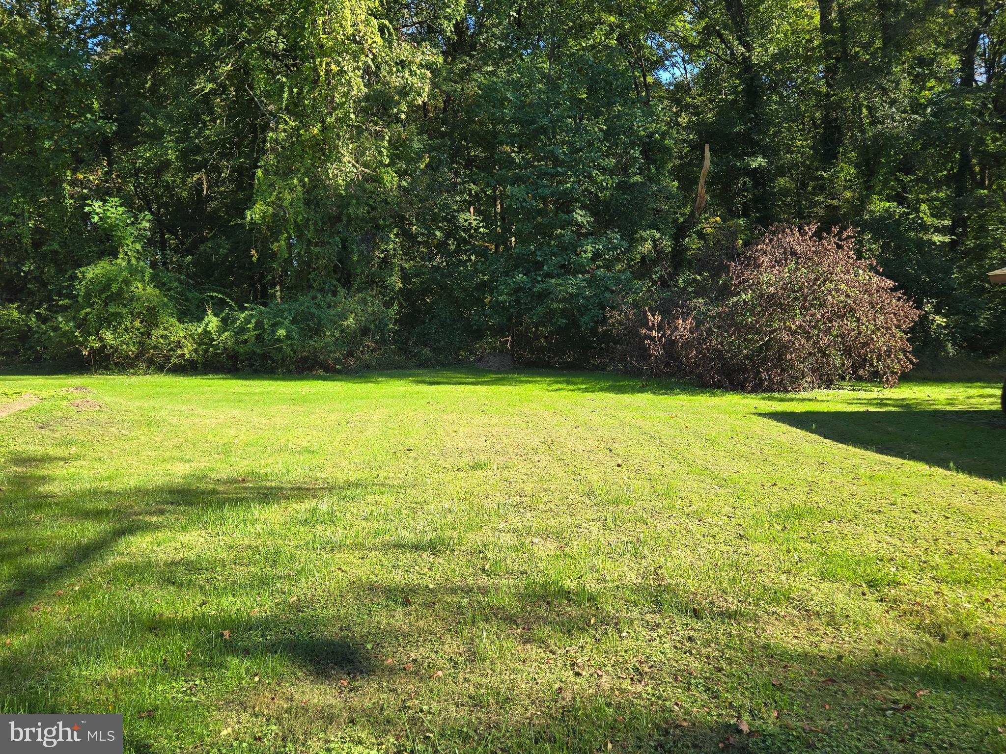 FOREST GREENS - Residential