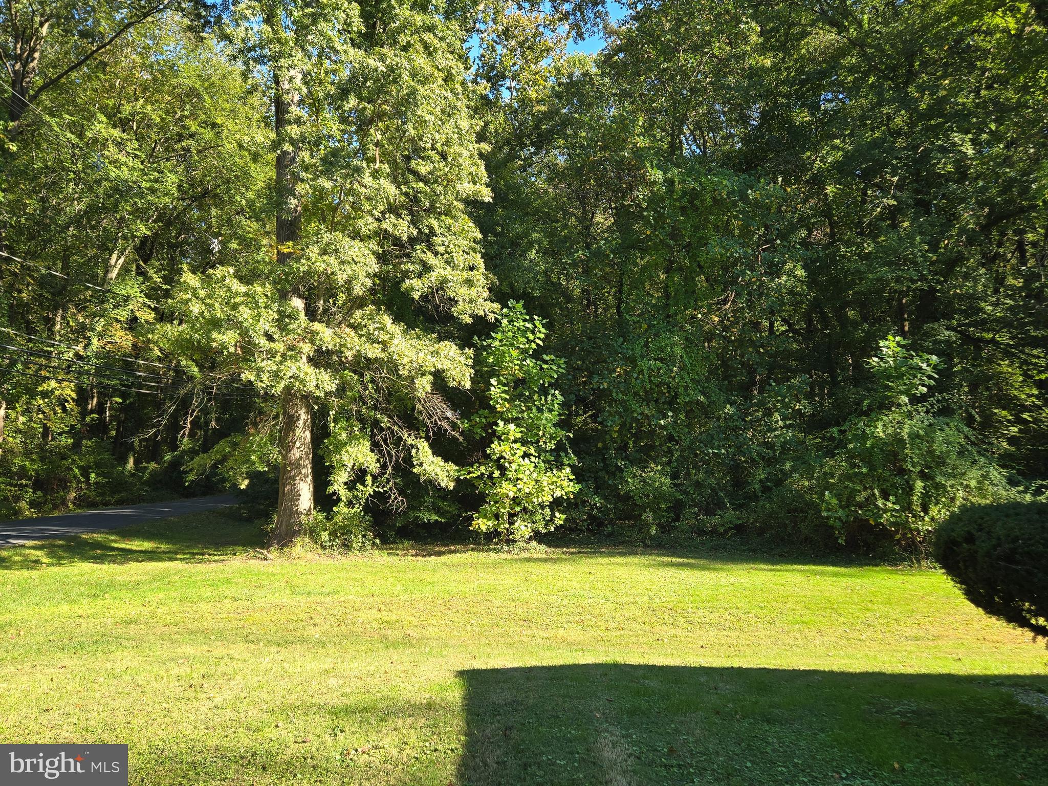 FOREST GREENS - Residential