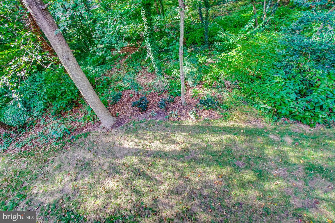 RIVA TRACE - Residential Lease