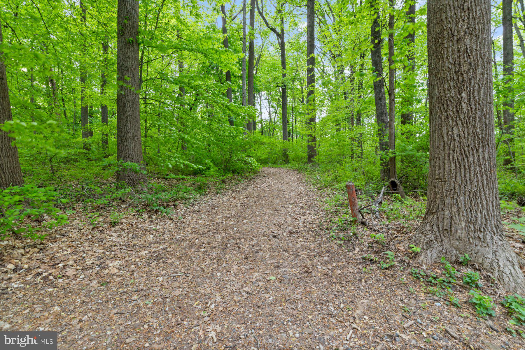 DOUBLE ROCK TOWNHOUSES - Residential