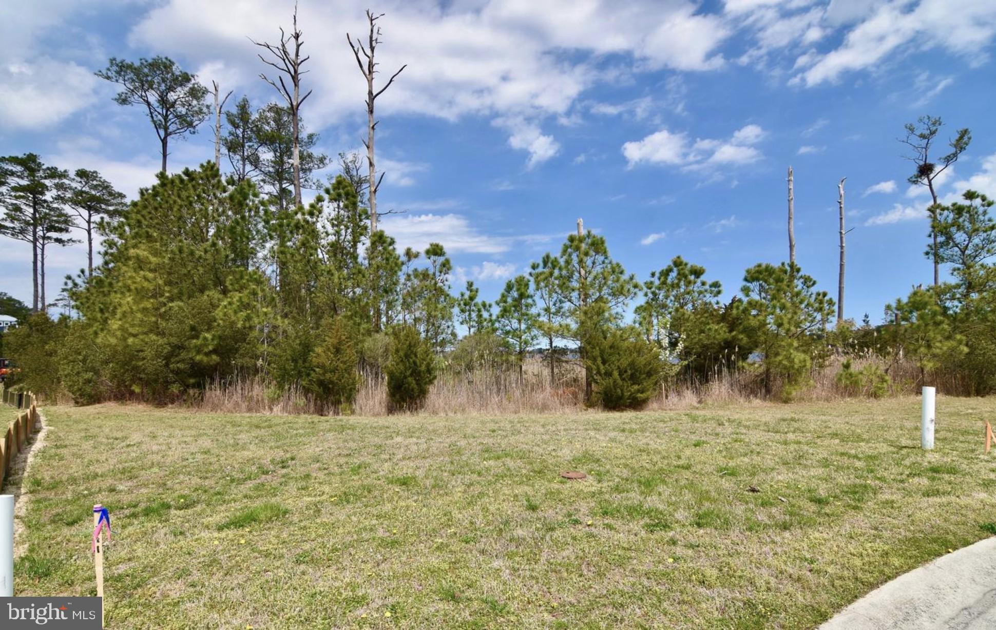 Lot #271 WAR DANCER LANE