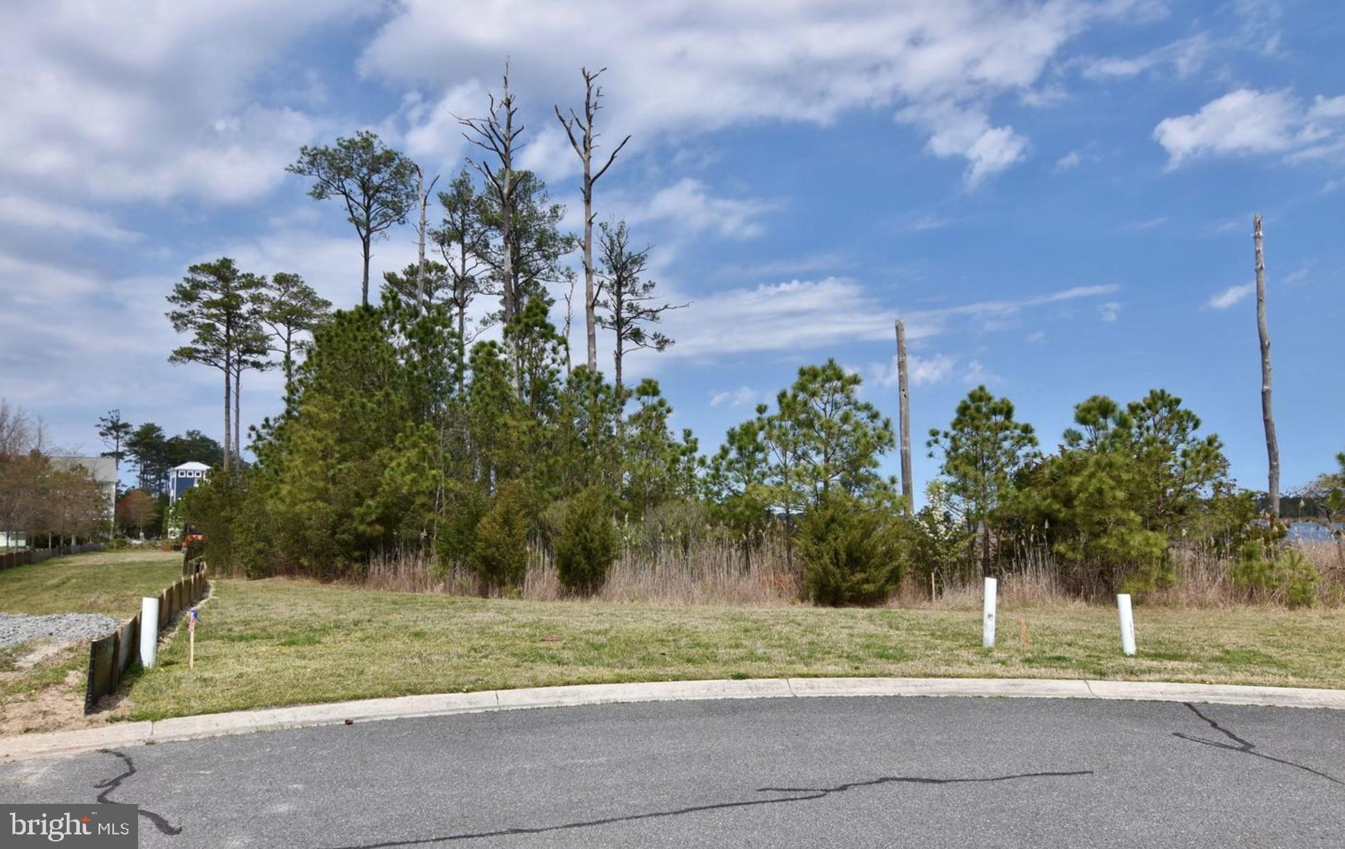 Lot #271 WAR DANCER LANE