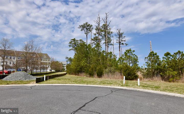 Lot #271 WAR DANCER LANE