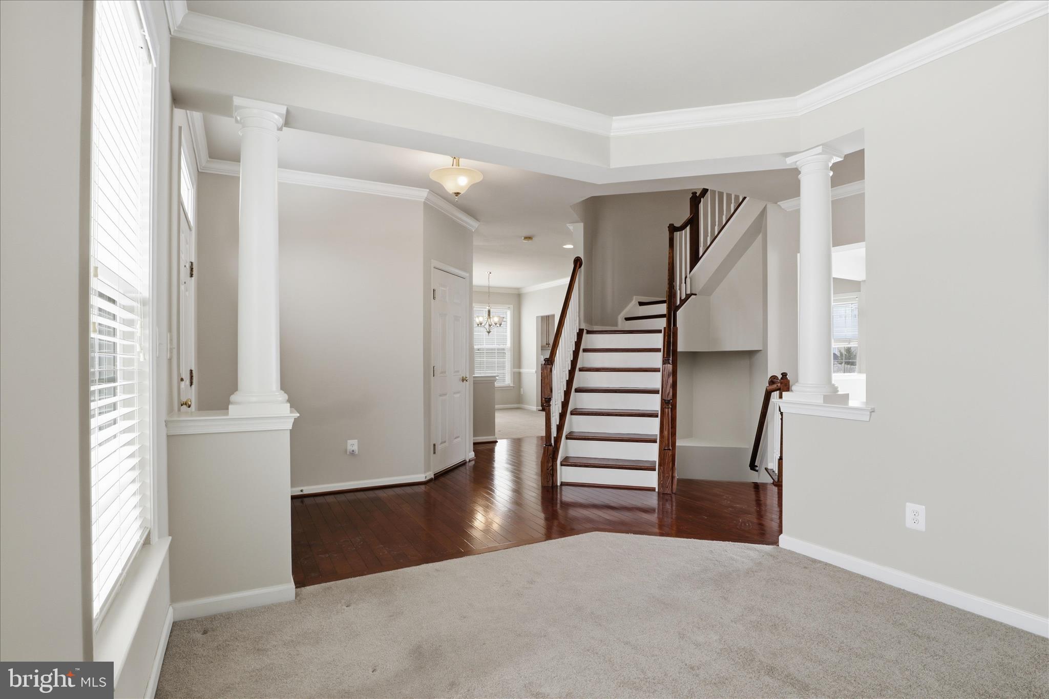 MEADOWS AT MORRIS FARM - Residential