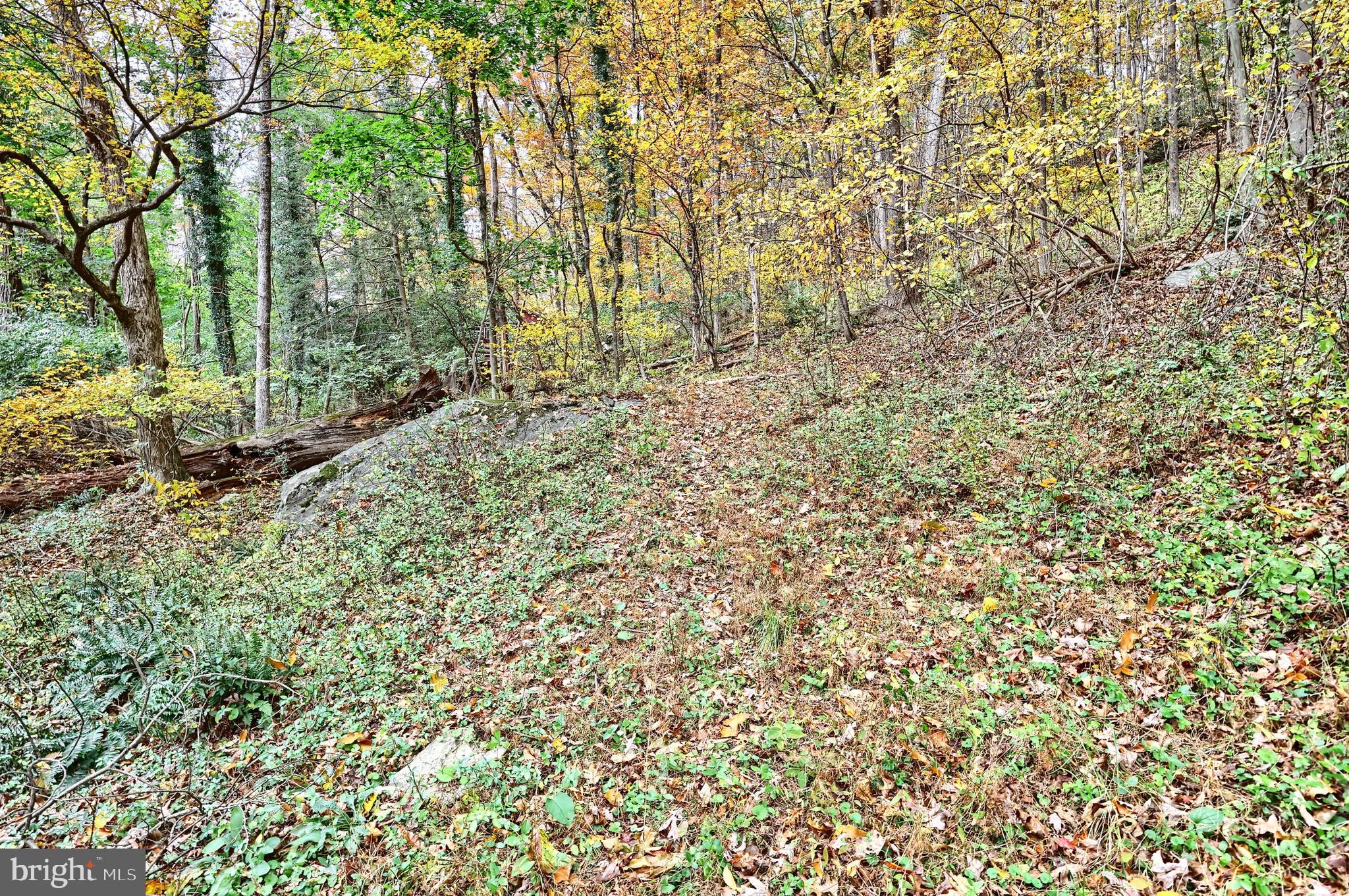 SUSQUEHANNA TRAILS - Residential