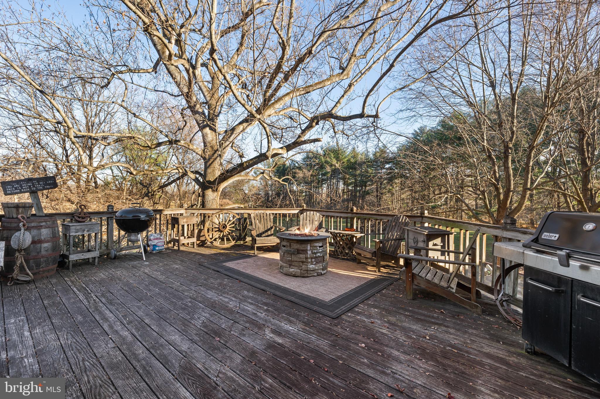 CHESTNUT HILL FARMS - Residential