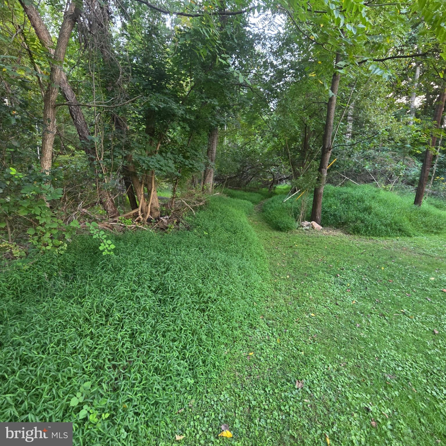 122 MUSTAPHAL DRIVE