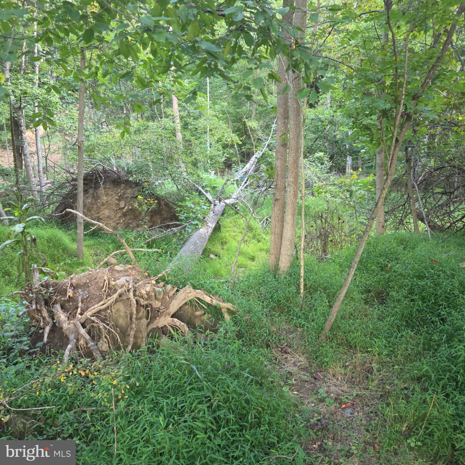 122 MUSTAPHAL DRIVE