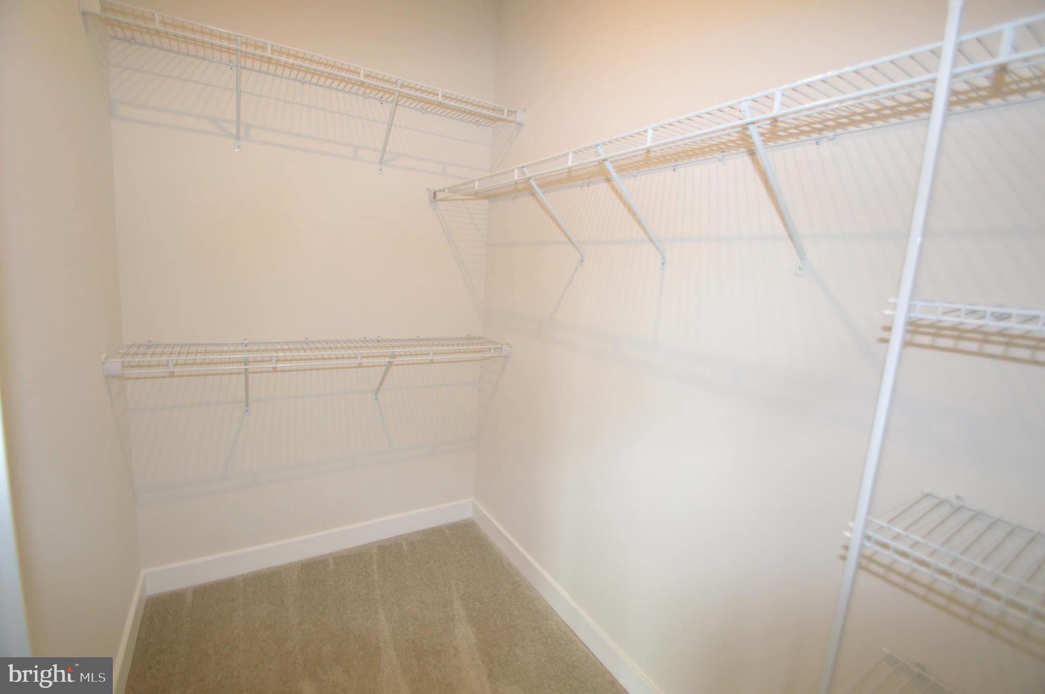 BLACKBURN - Residential Lease