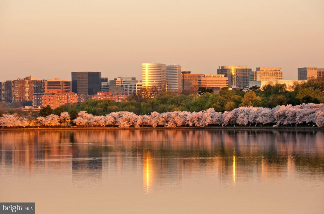 1800 WILSON - Residential